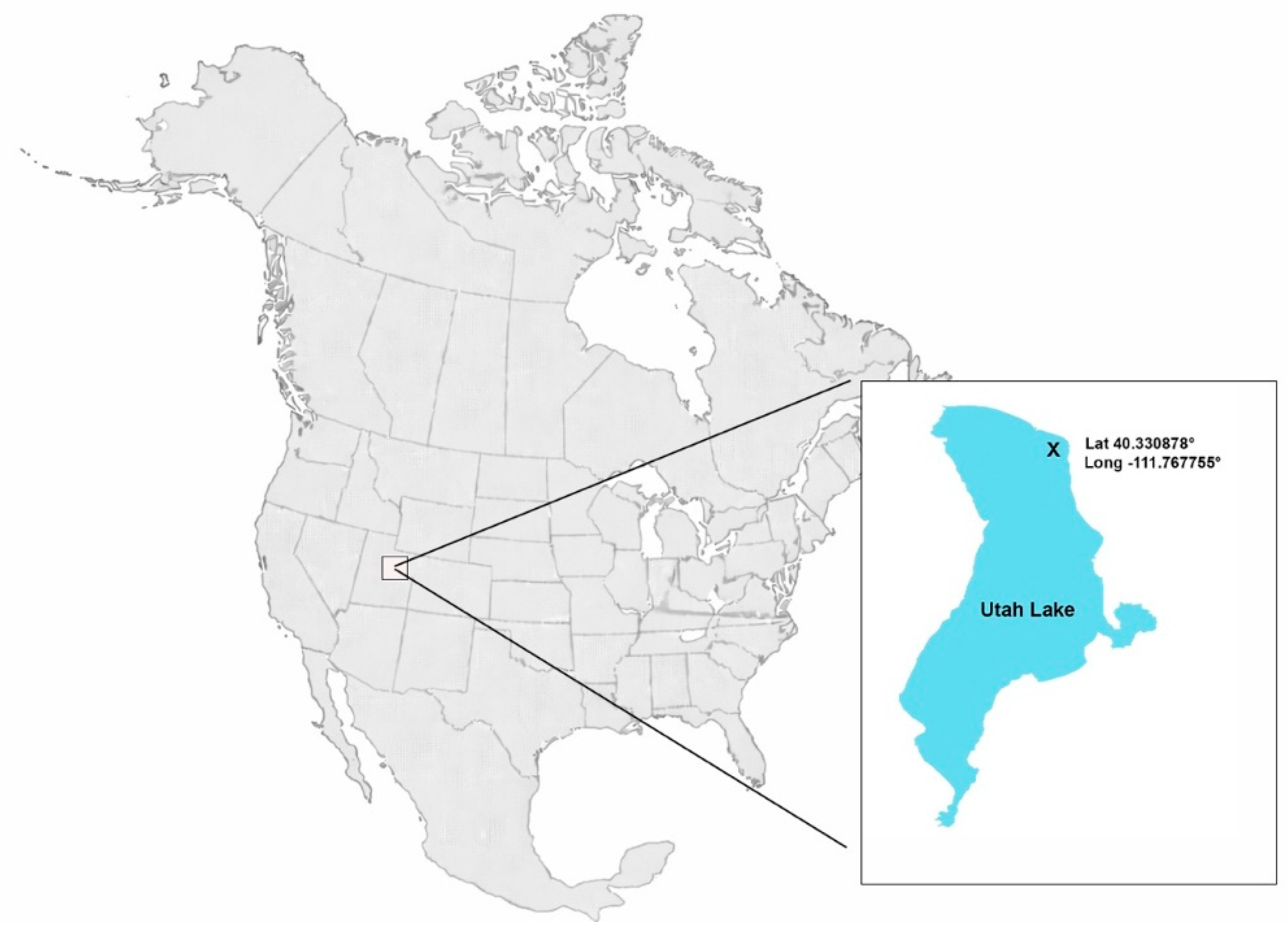 Preprints 199948 g002