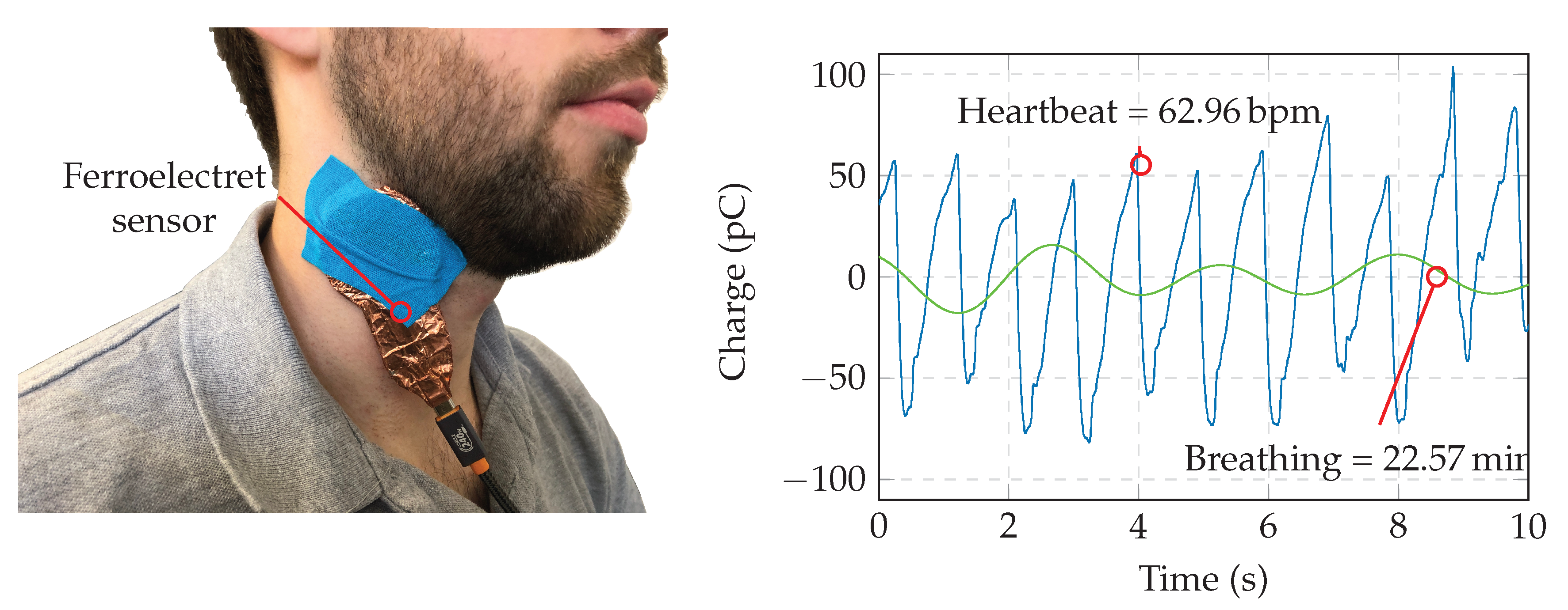 Preprints 185874 g006