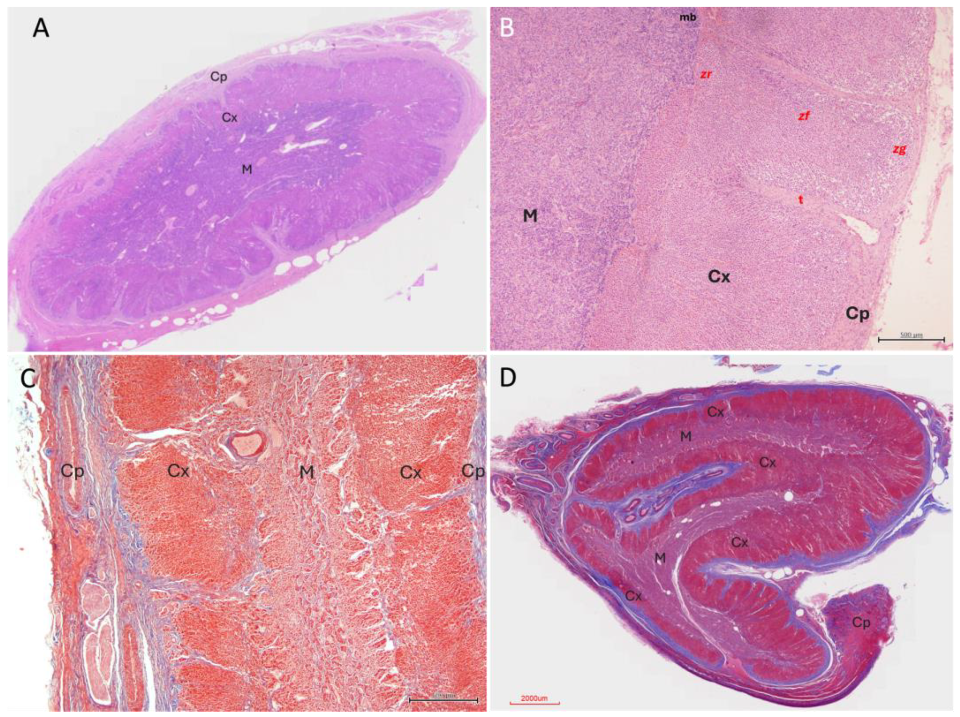 Preprints 203545 g003