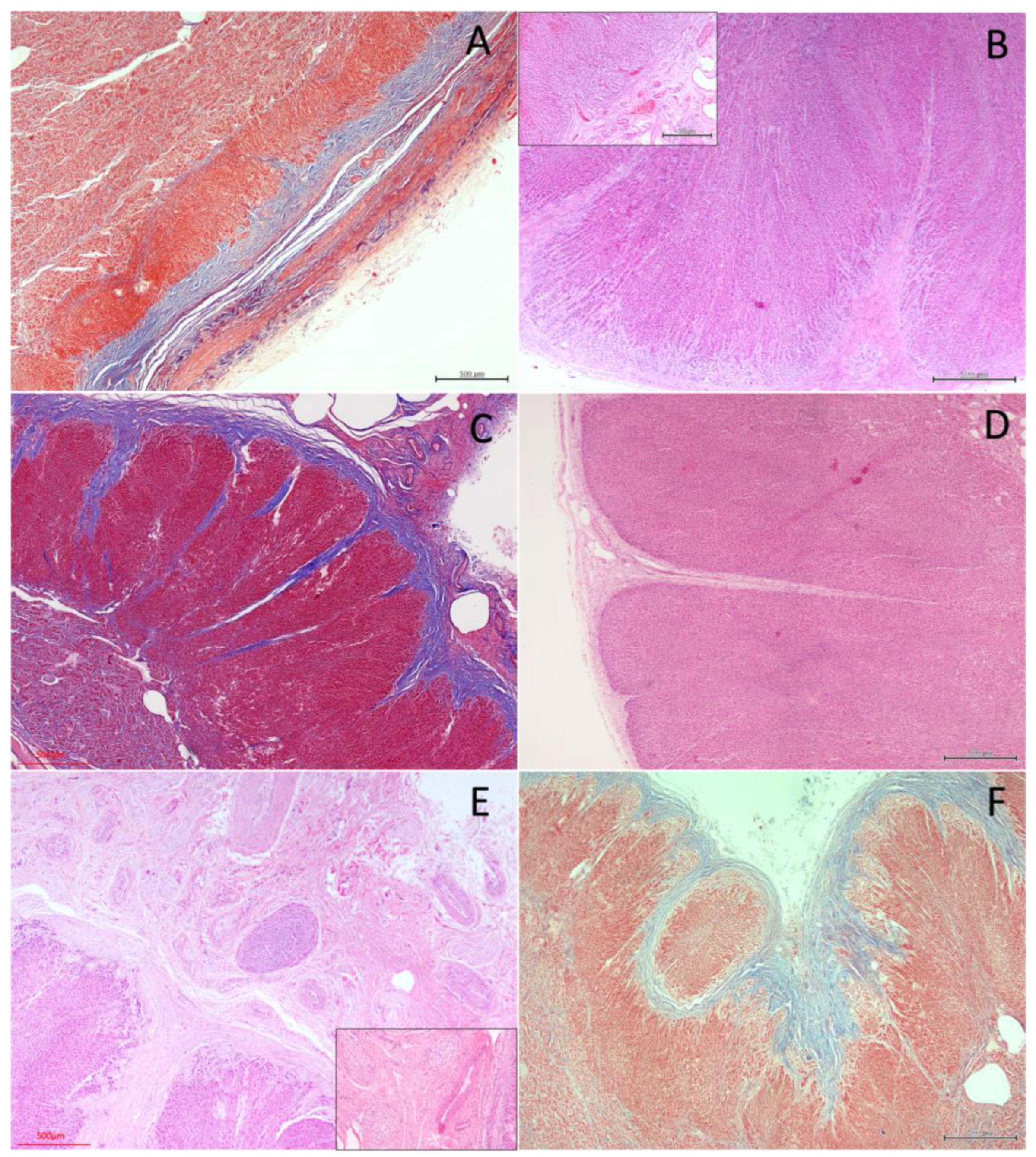 Preprints 203545 g004