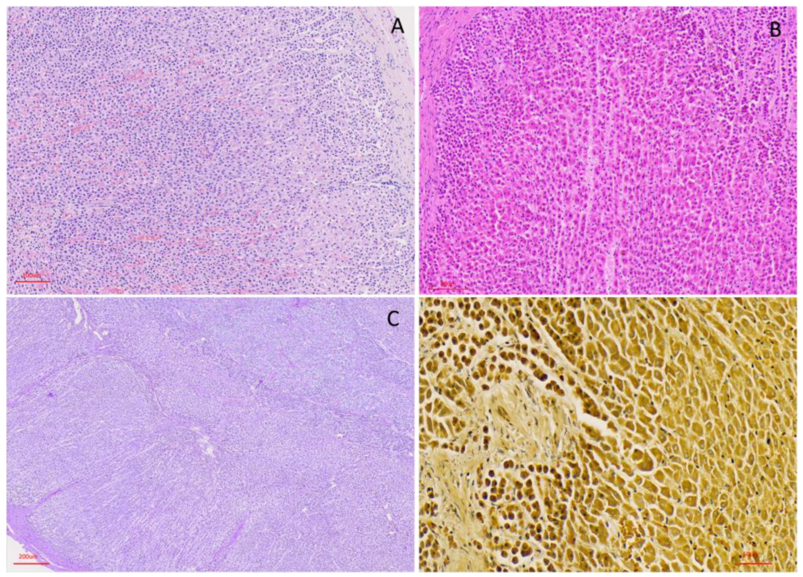Preprints 203545 g006