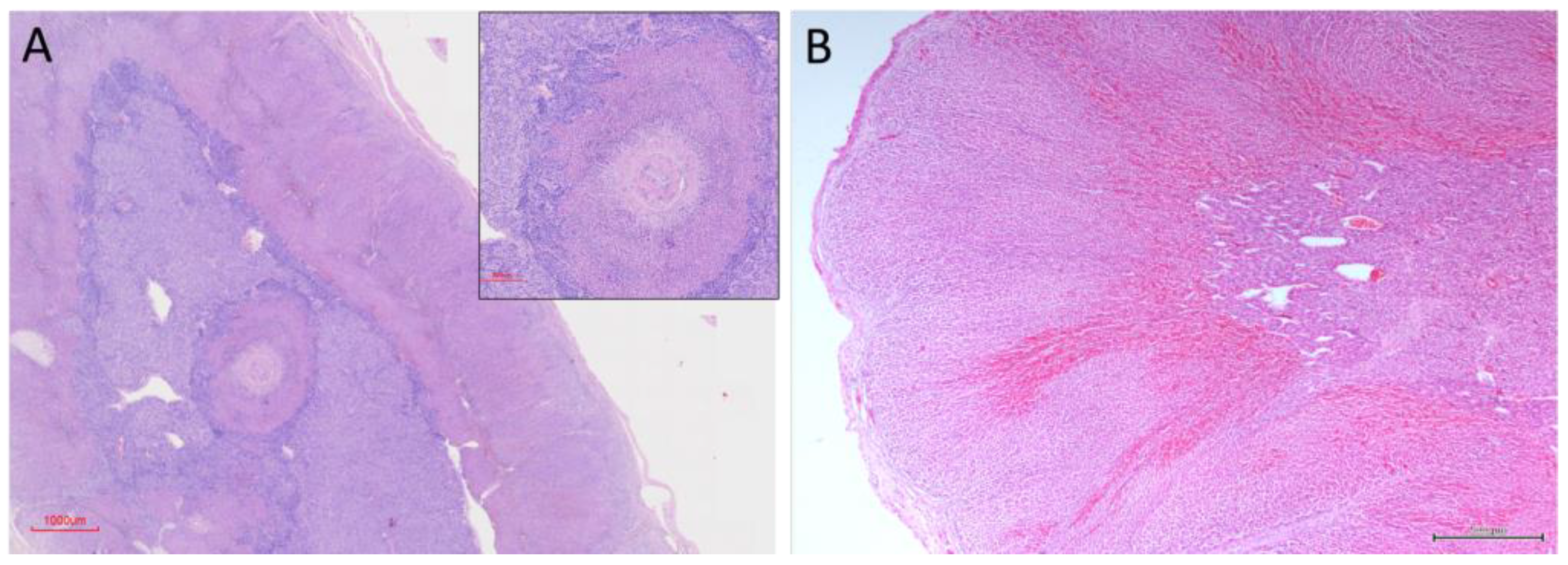 Preprints 203545 g007