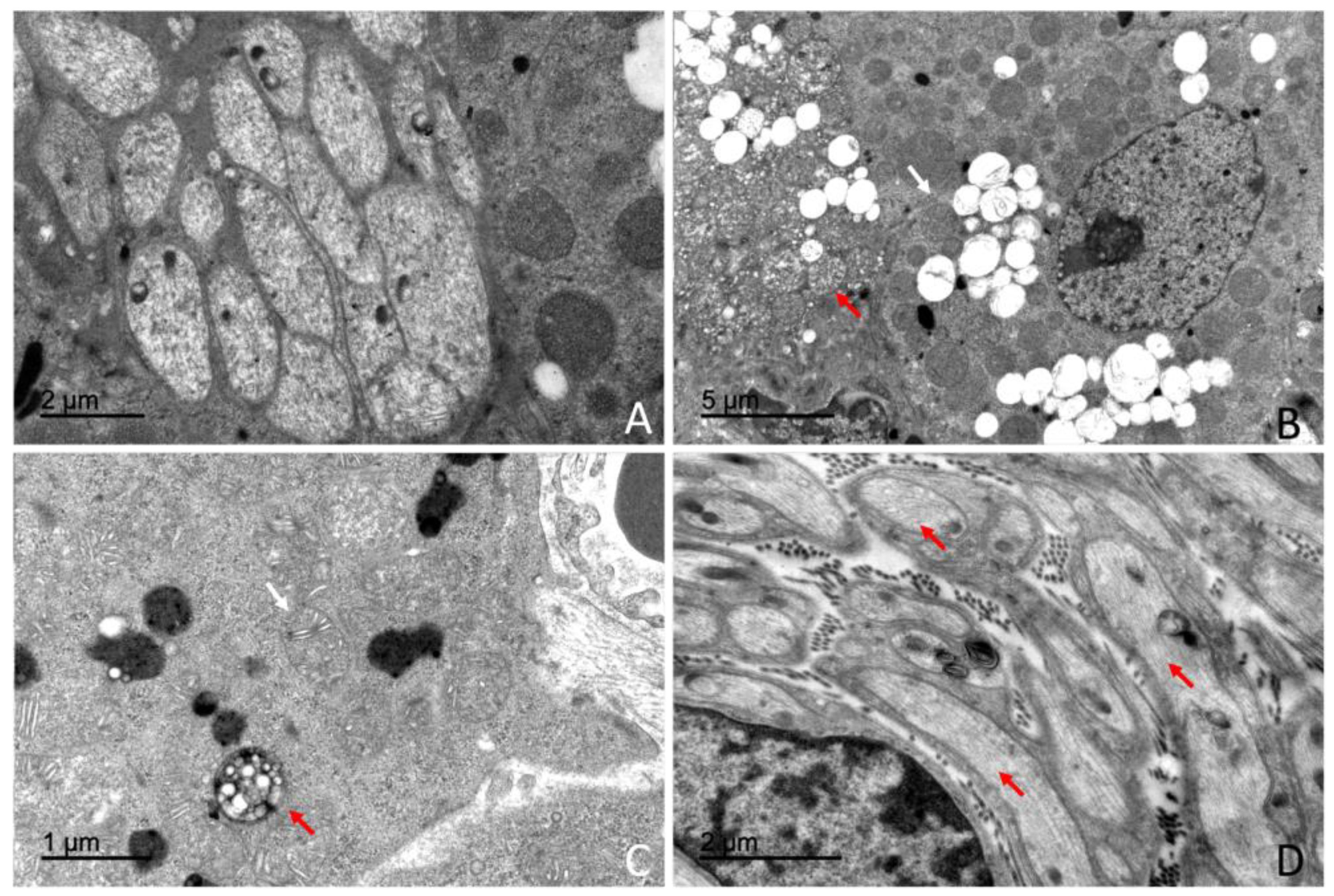 Preprints 203545 g014