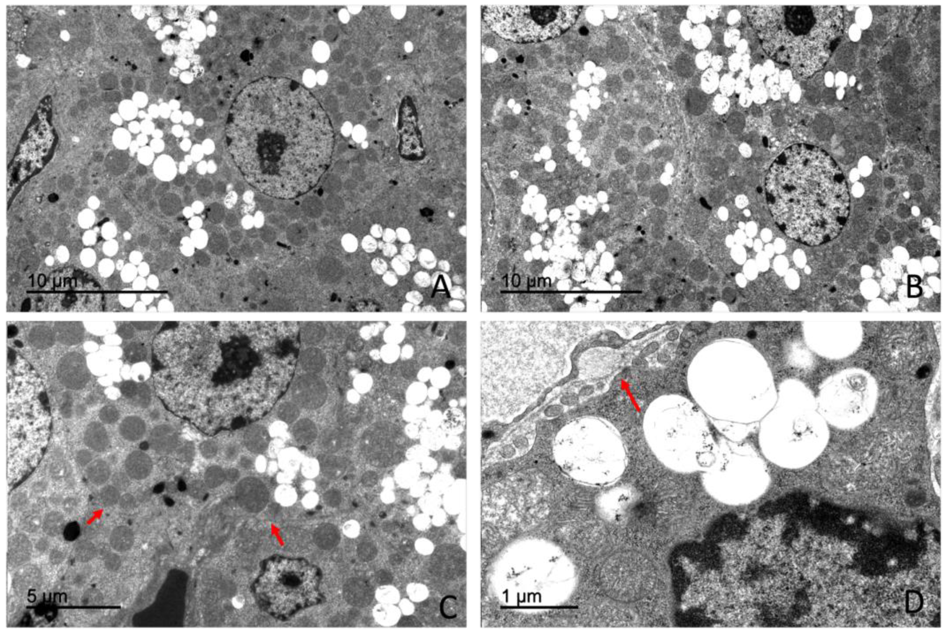 Preprints 203545 g015
