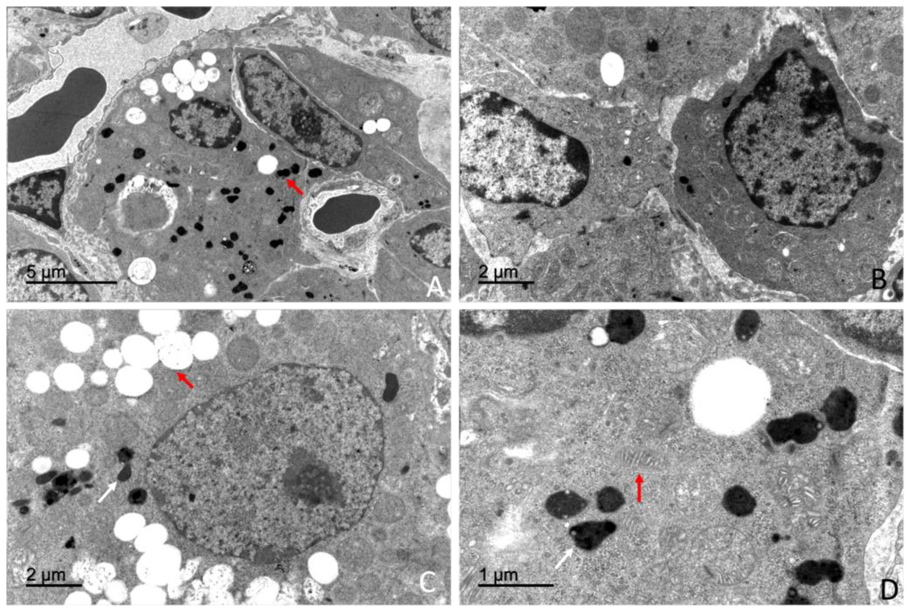Preprints 203545 g017
