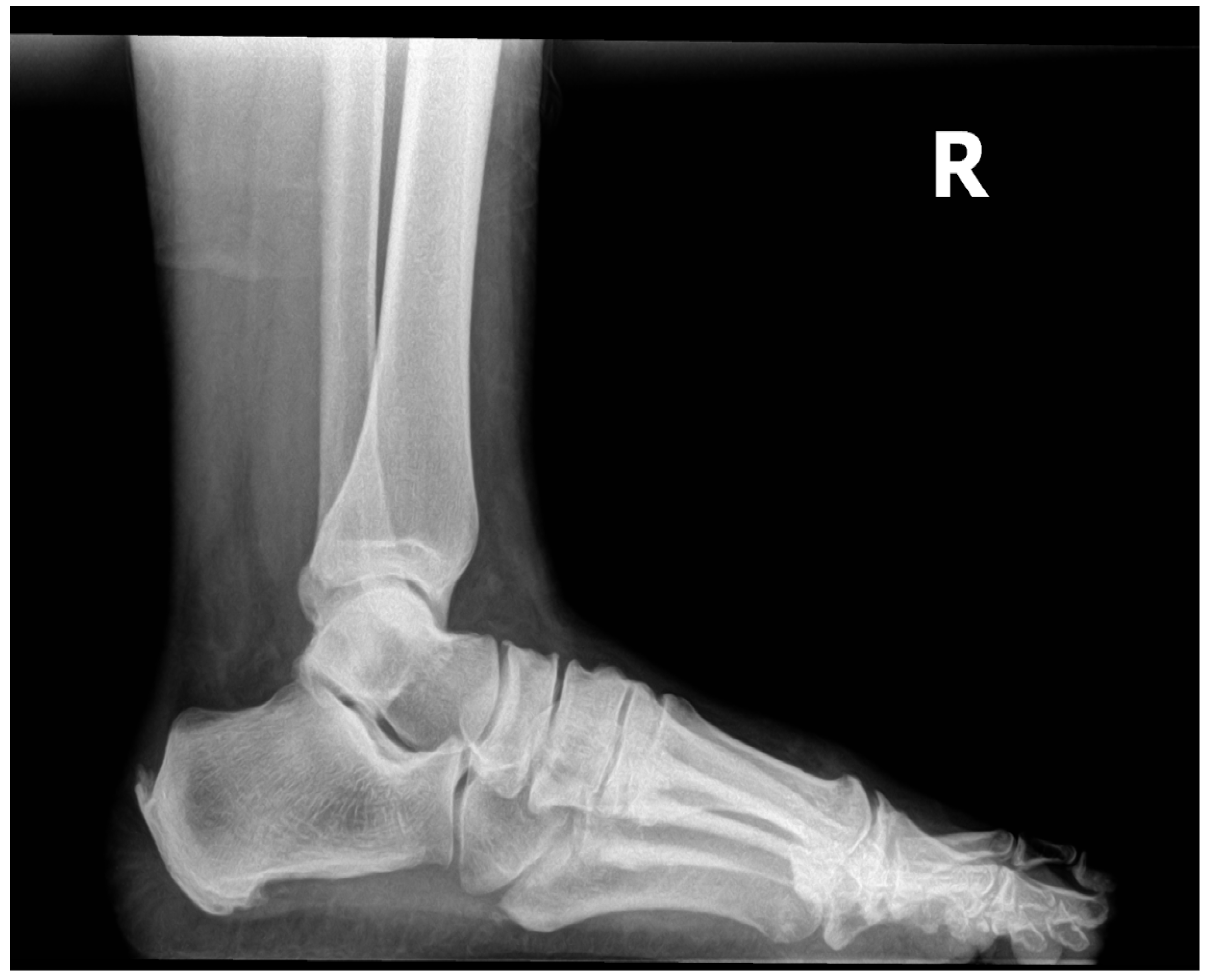 Preprints 87054 g001