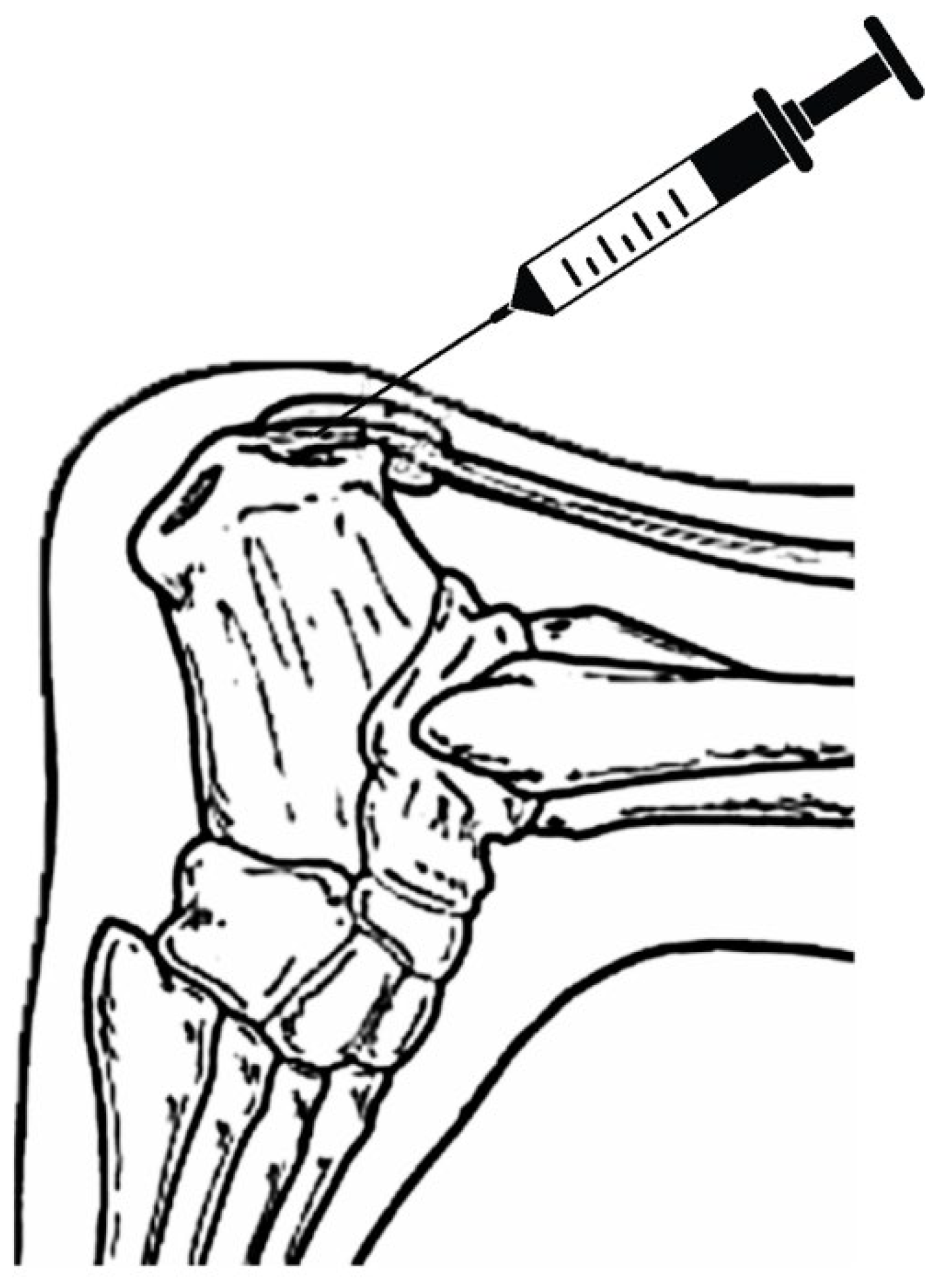 Preprints 87054 g003