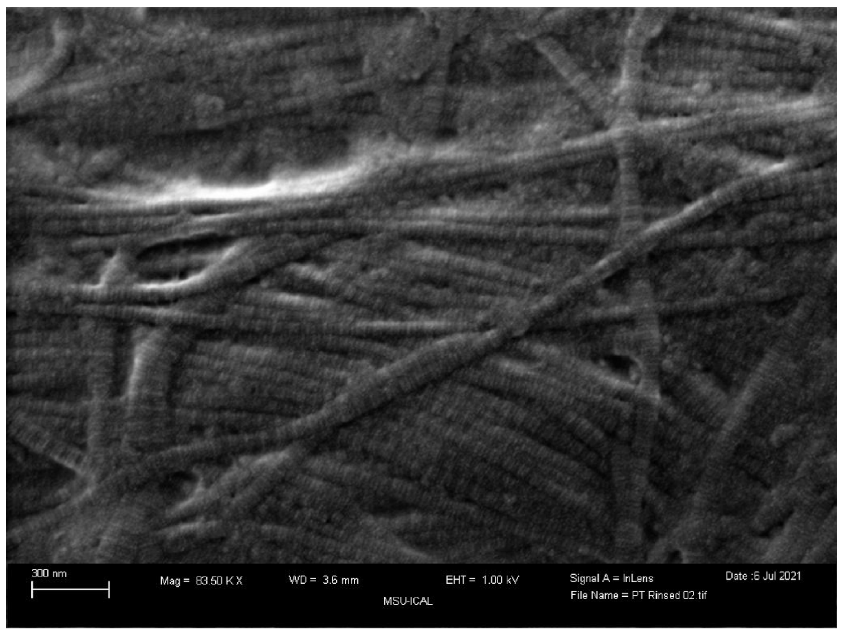 Preprints 87054 g006