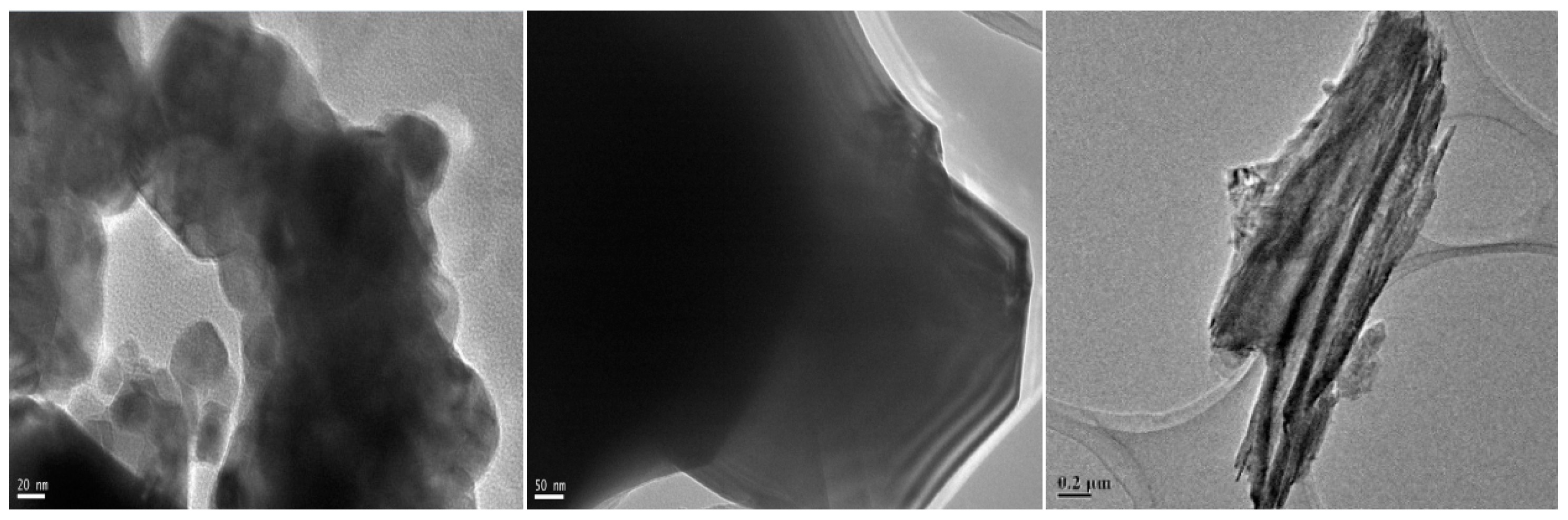 Preprints 156670 g003