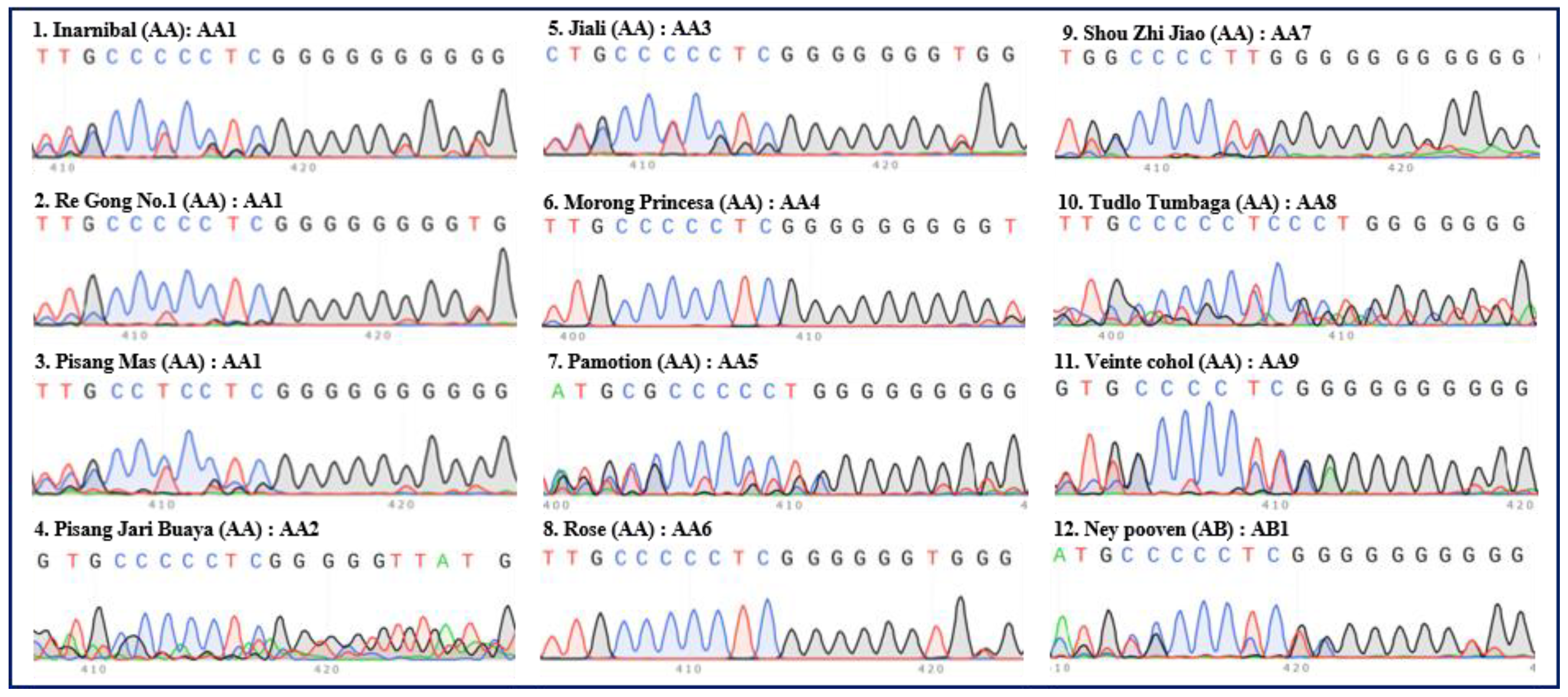Preprints 99502 g001