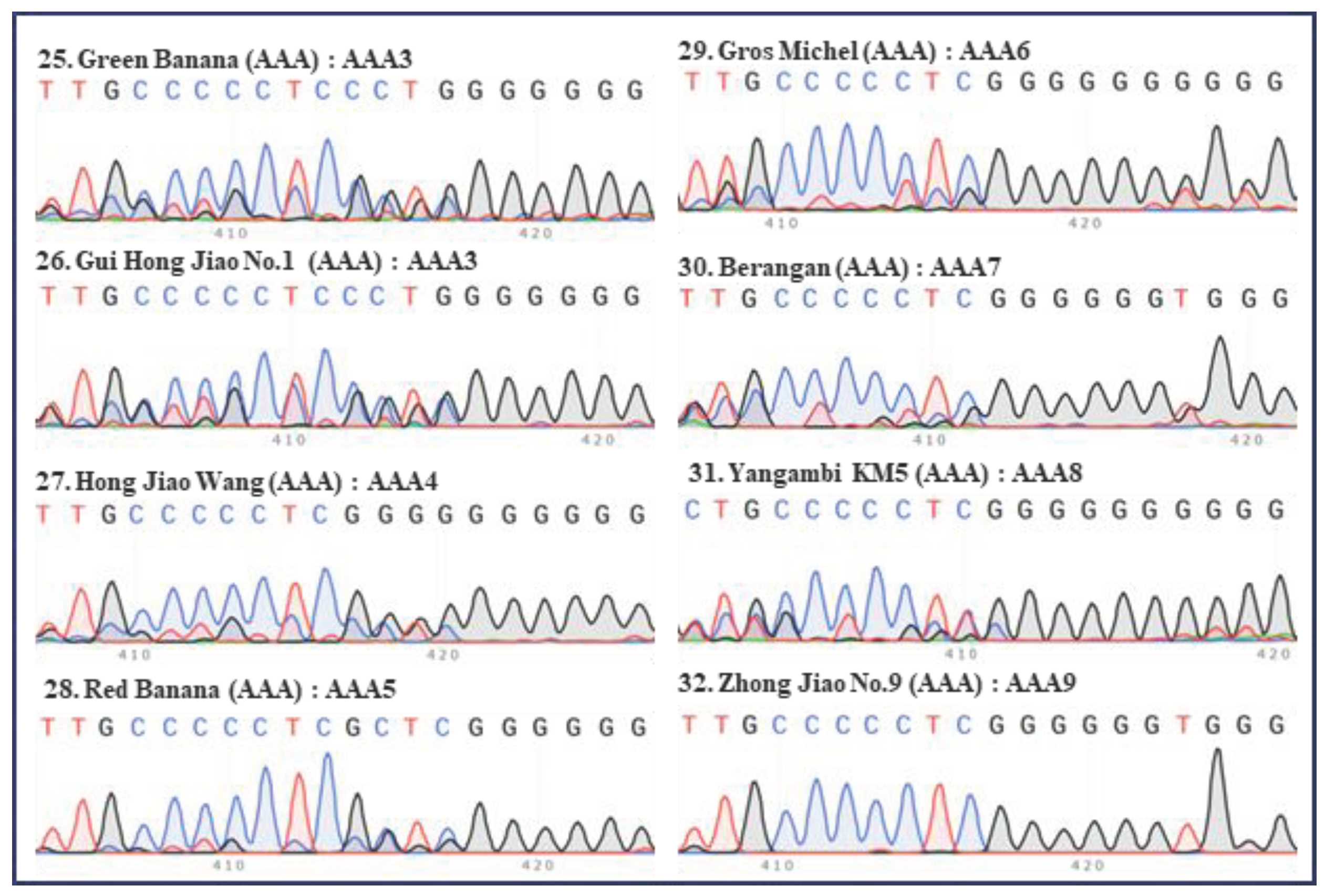 Preprints 99502 g003