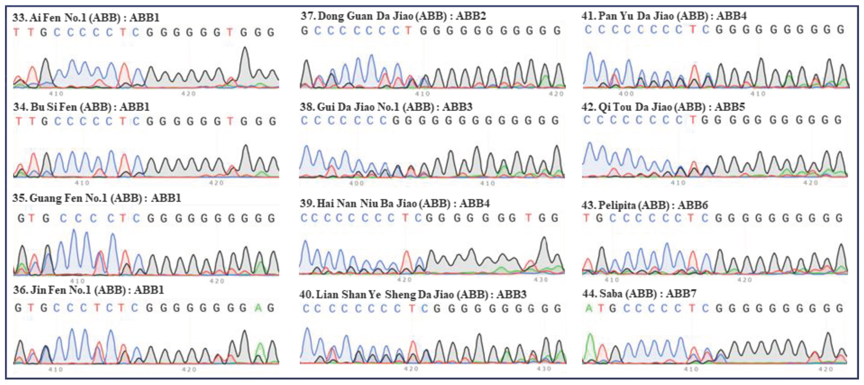 Preprints 99502 g004