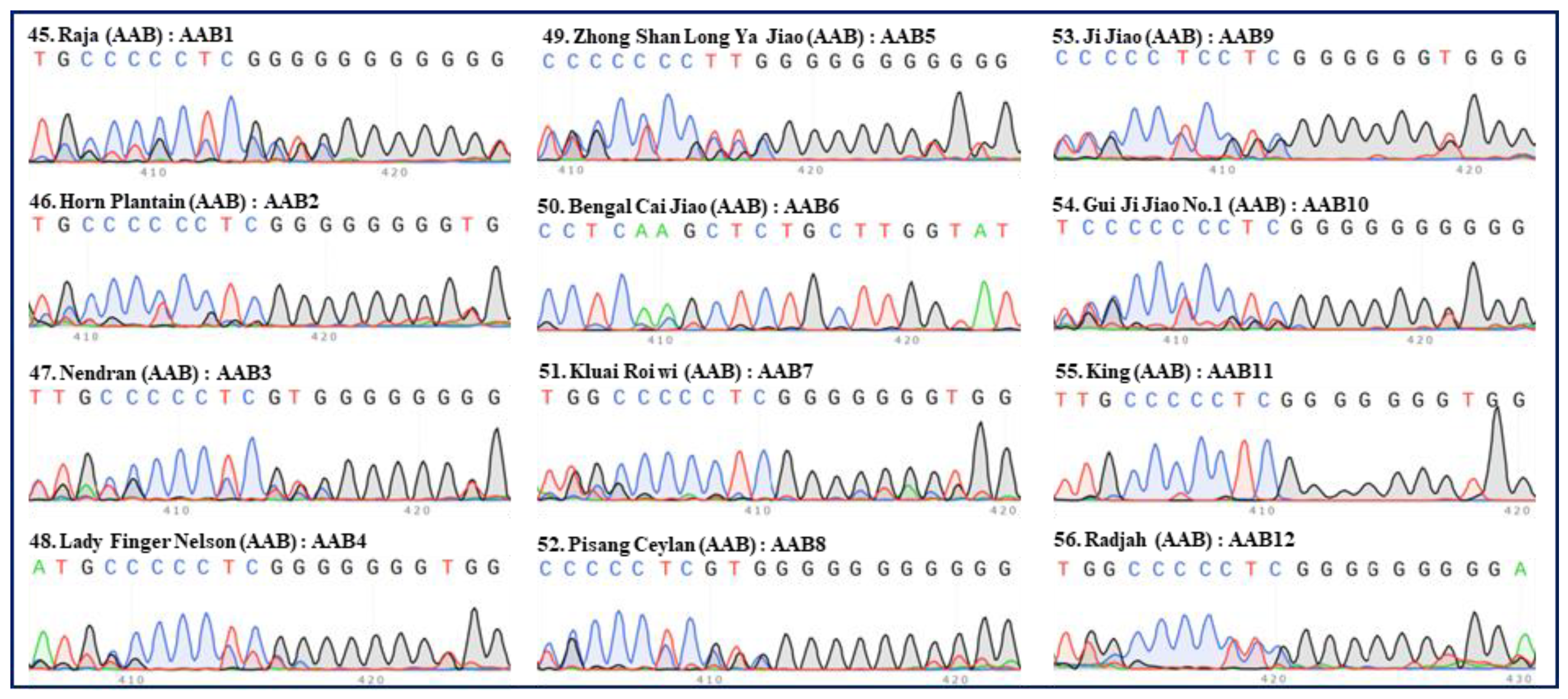 Preprints 99502 g005