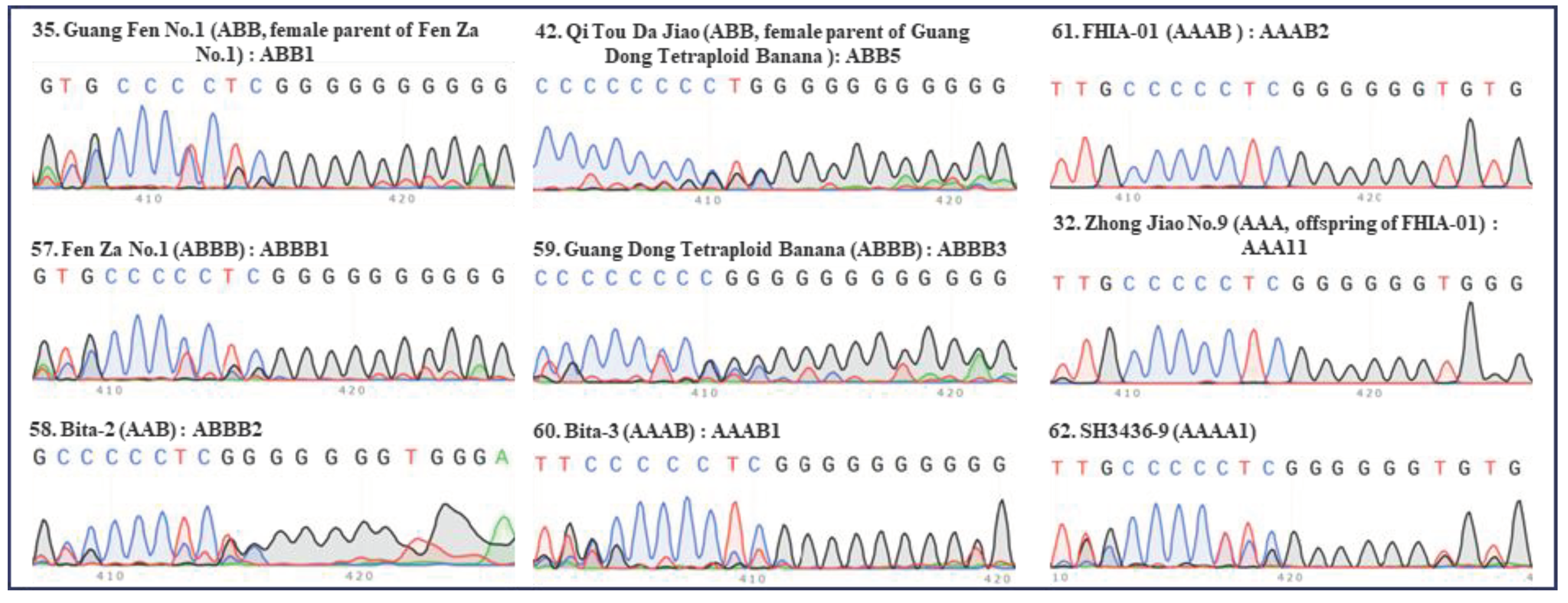 Preprints 99502 g006