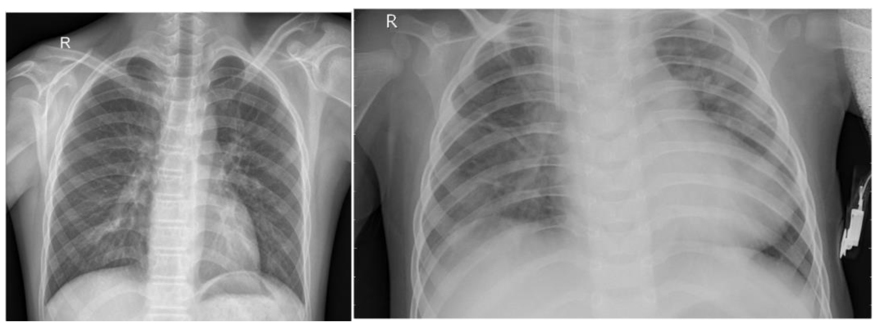 Preprints 162573 g001