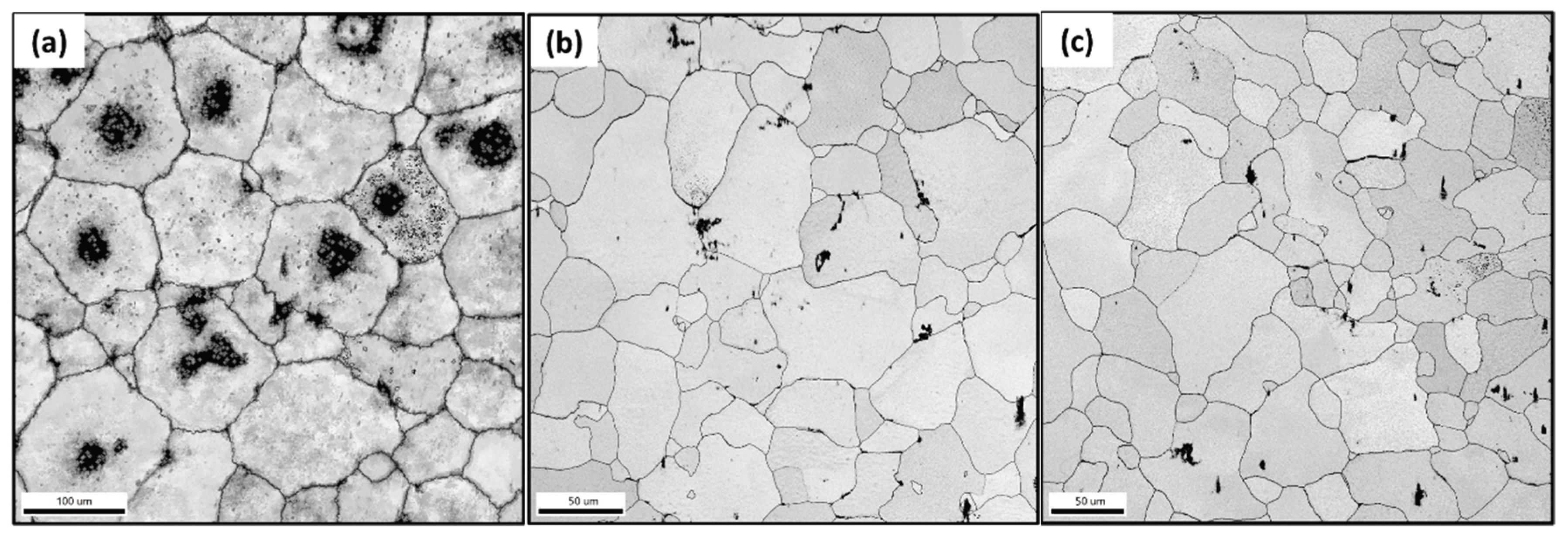 Preprints 177352 g002