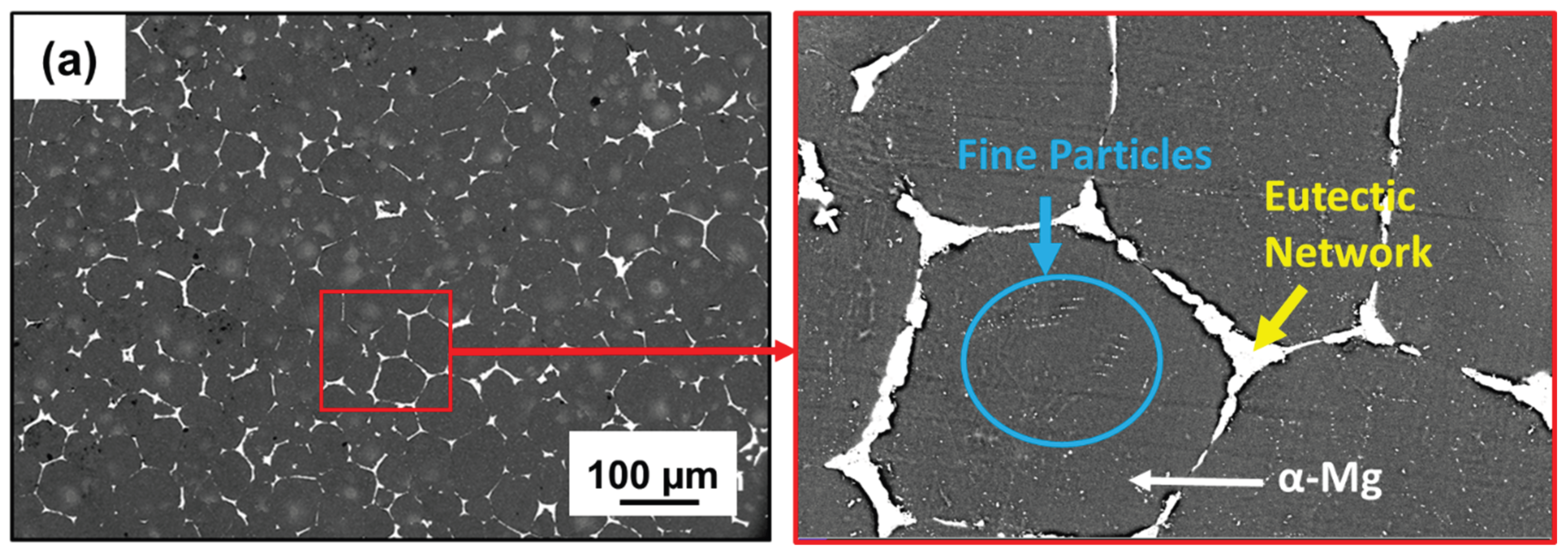 Preprints 177352 g003a