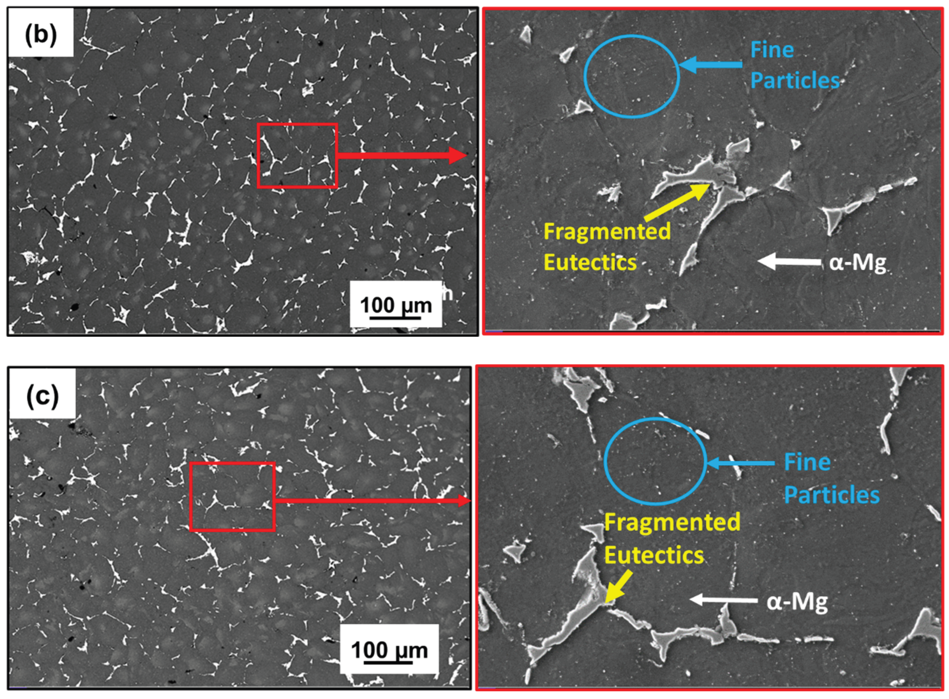 Preprints 177352 g003b