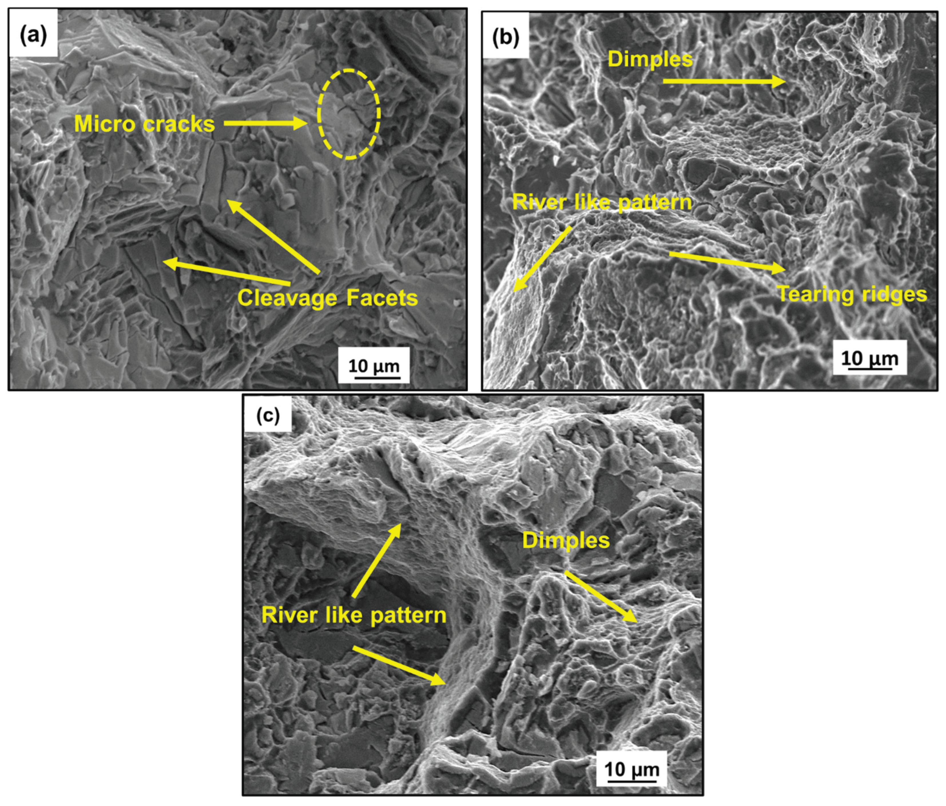 Preprints 177352 g008