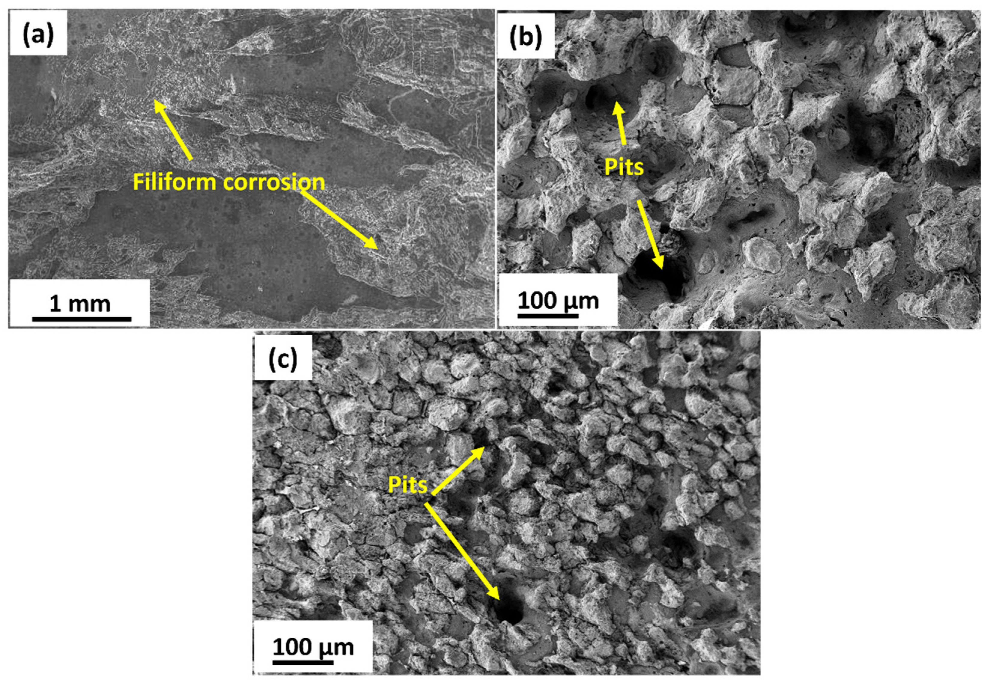 Preprints 177352 g010