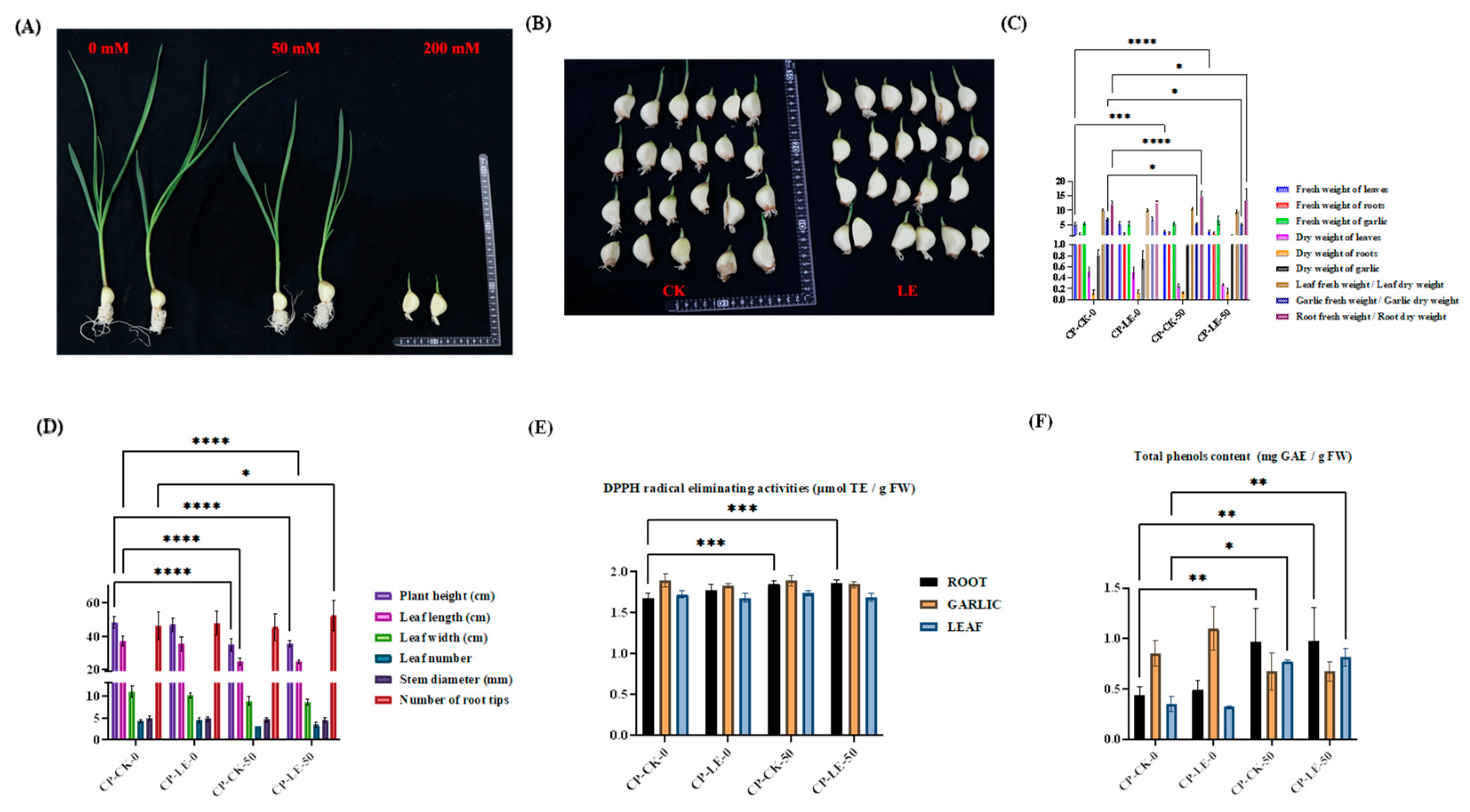 Preprints 209710 g002 Preprints 209710 g002