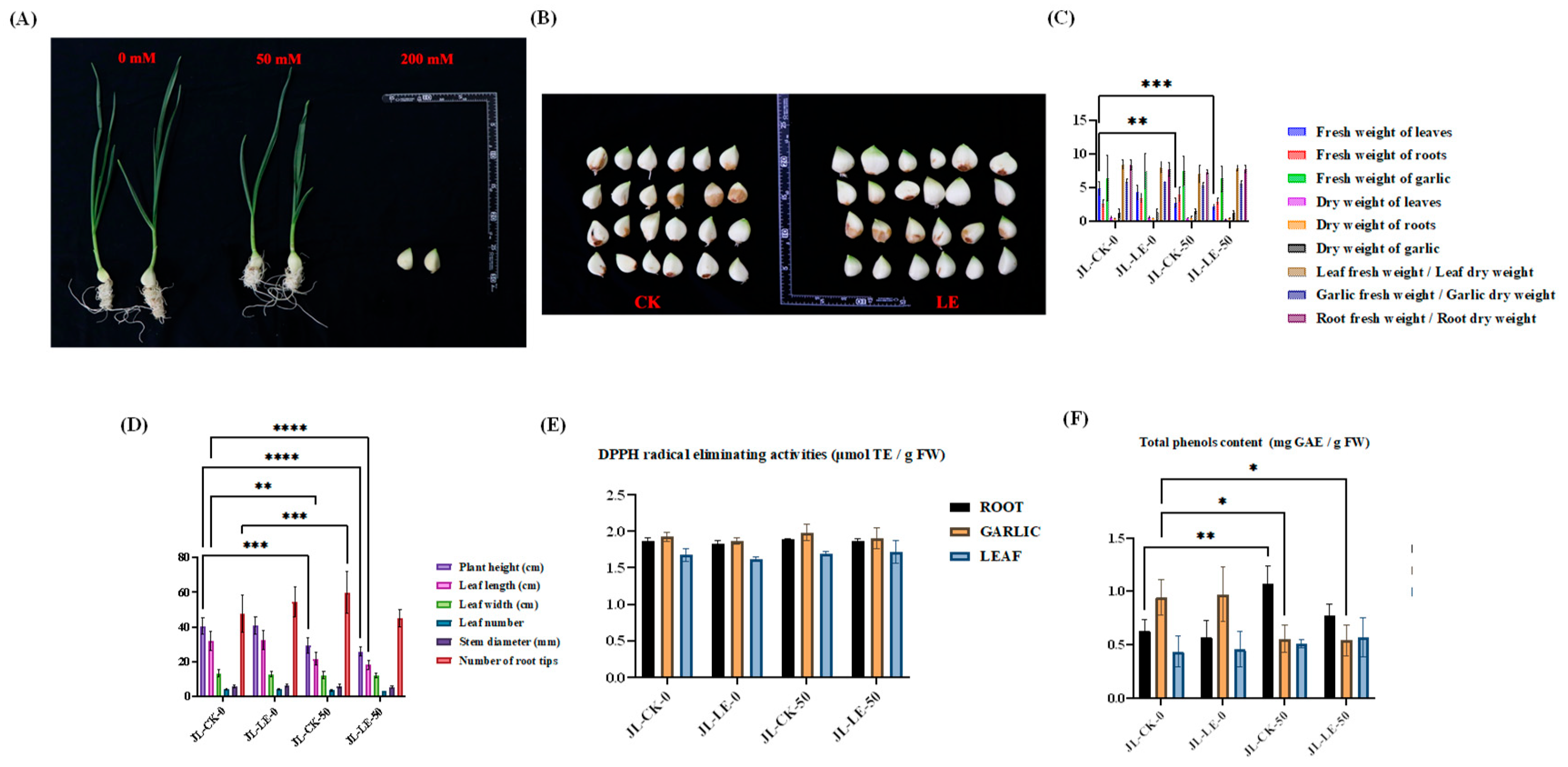 Preprints 209710 g004 Preprints 209710 g004