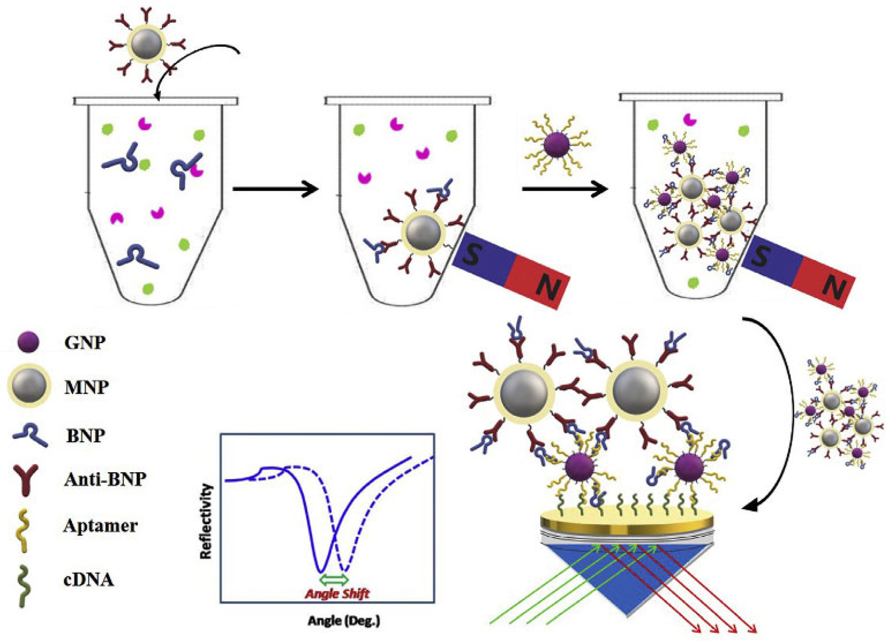 Preprints 73499 g002