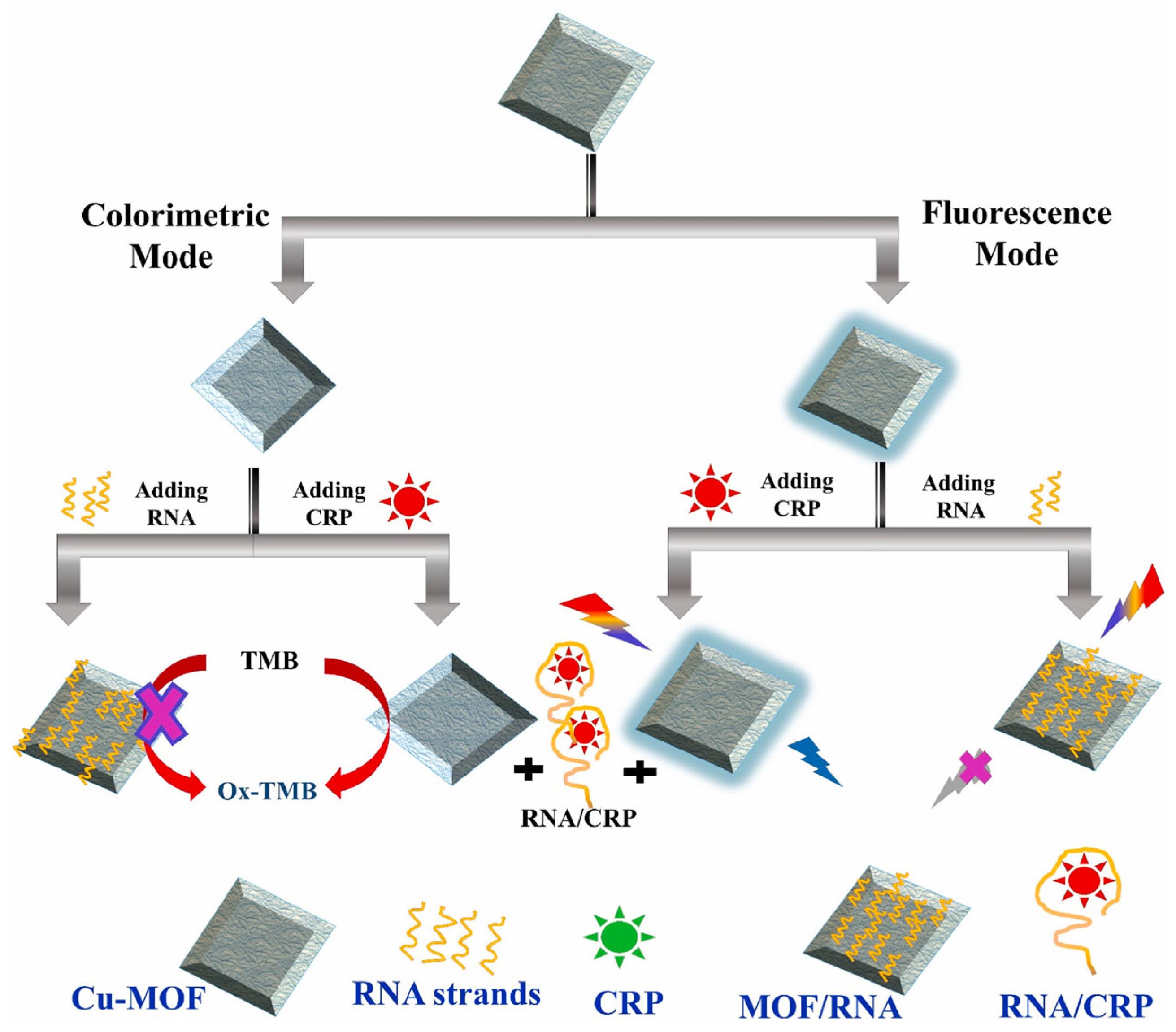 Preprints 73499 g007