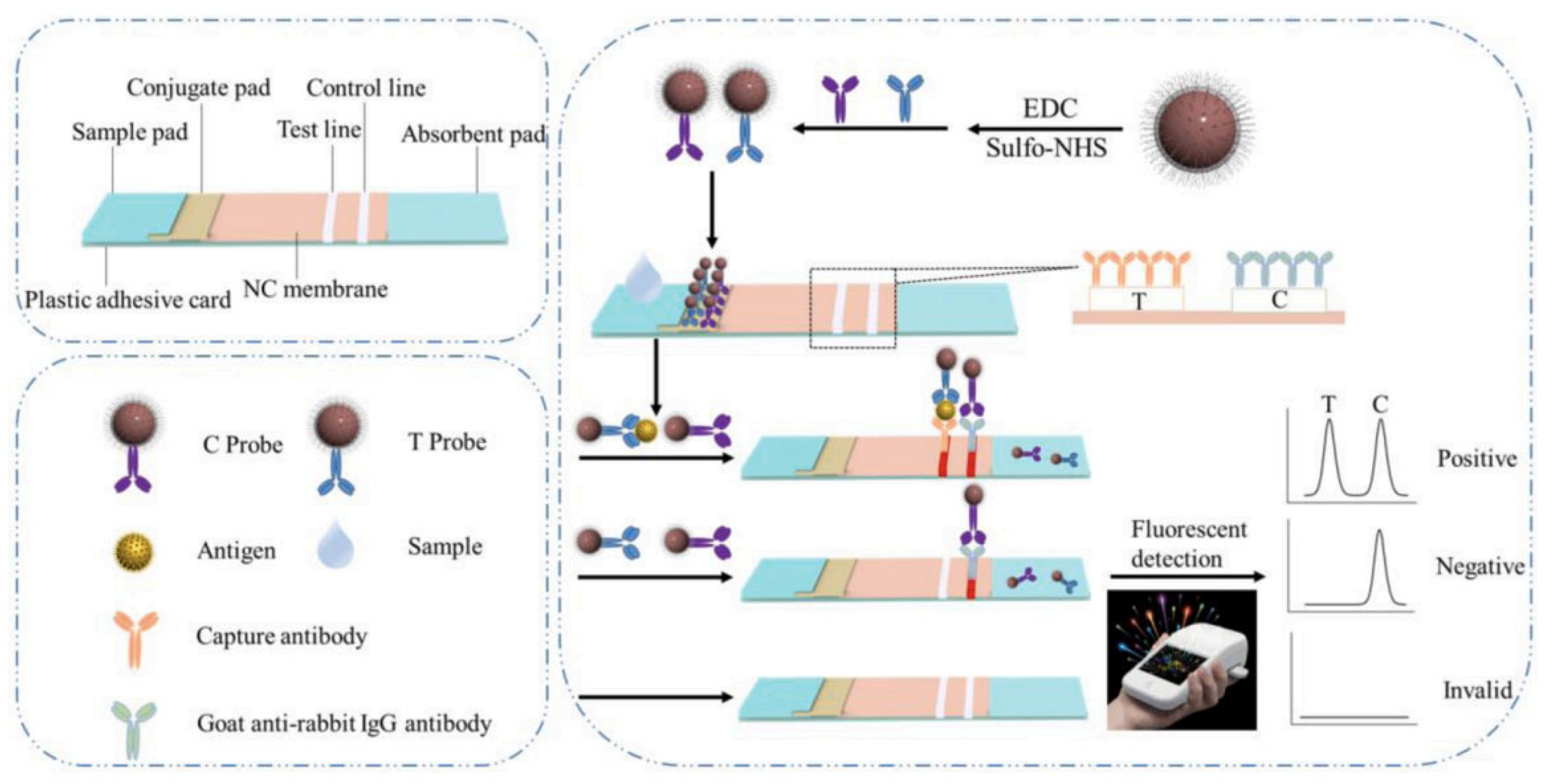 Preprints 73499 g008