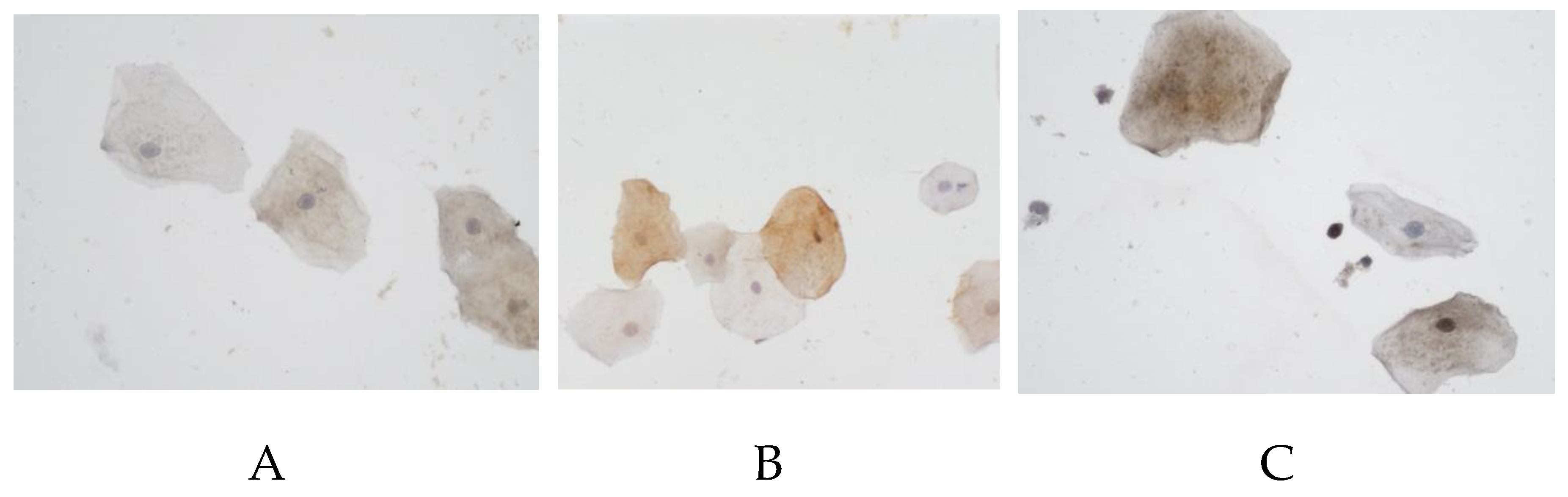 Preprints 173272 g003