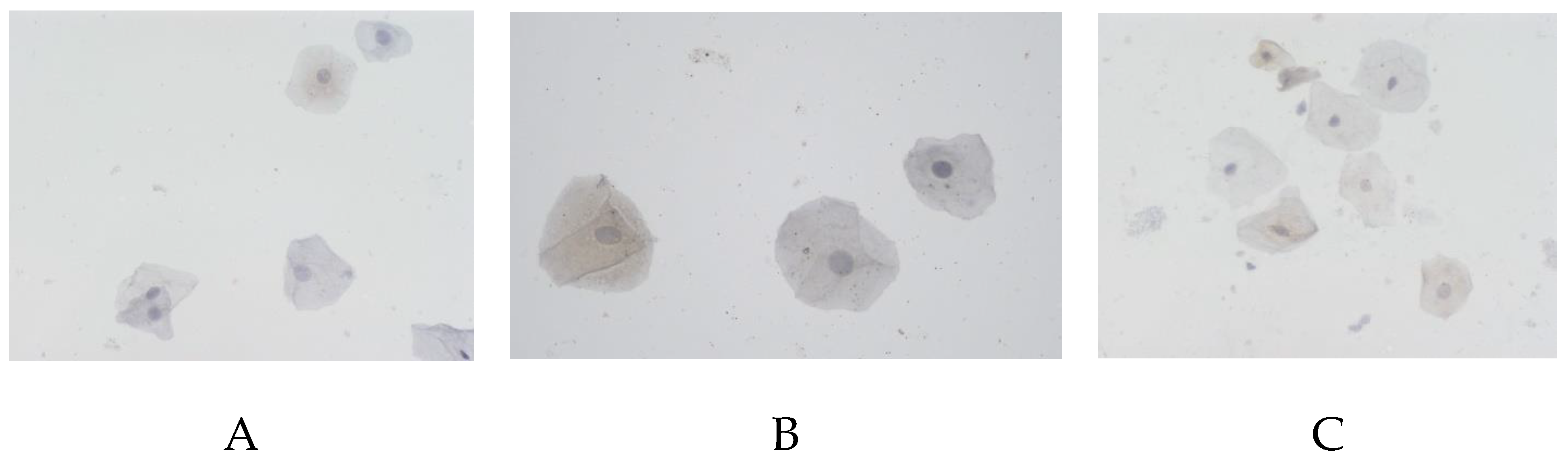 Preprints 173272 g004