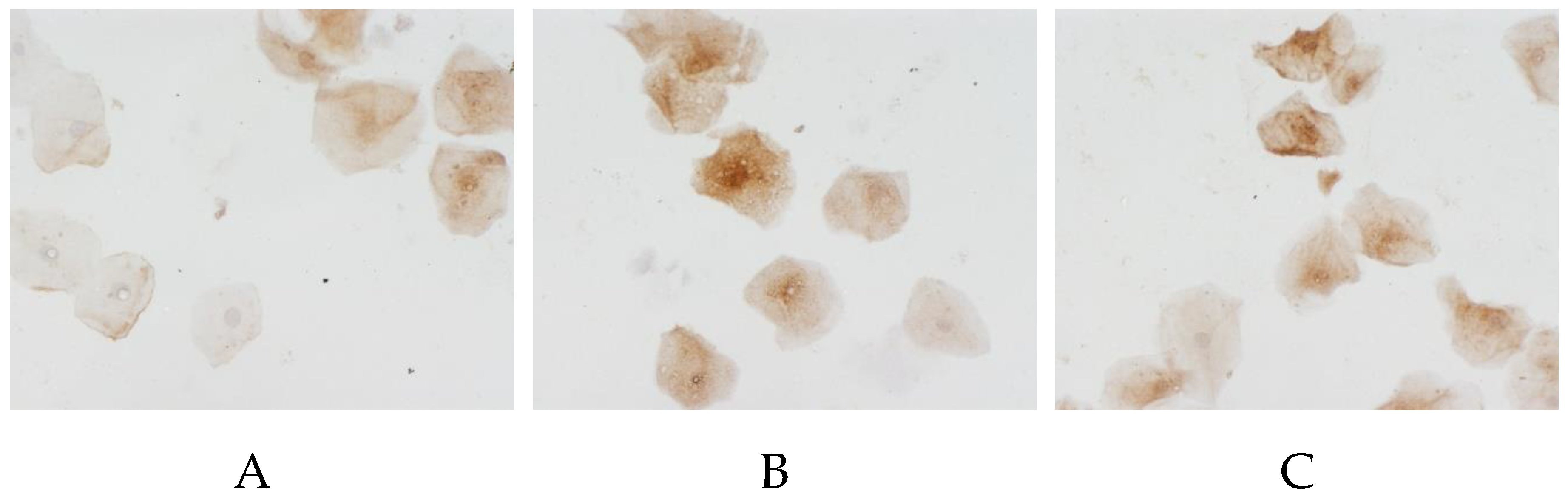 Preprints 173272 g005