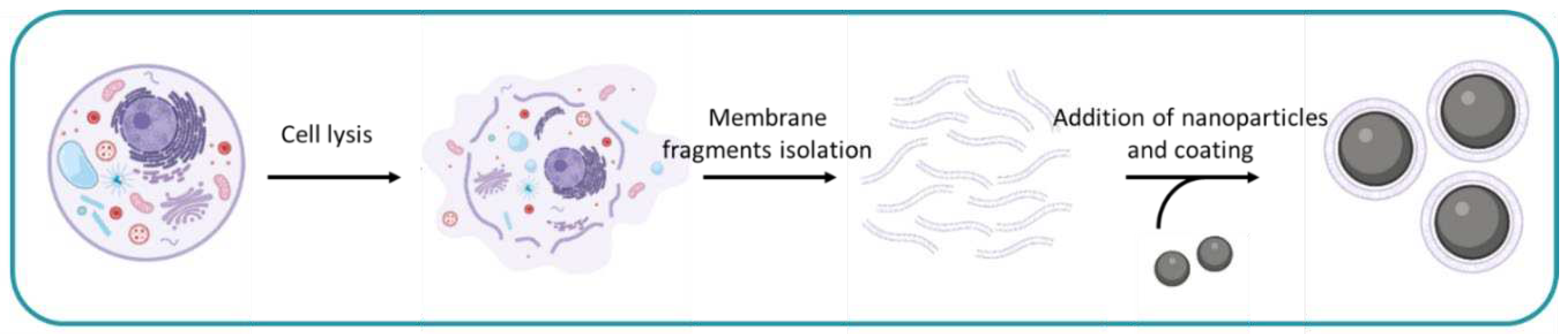 Preprints 97975 g001