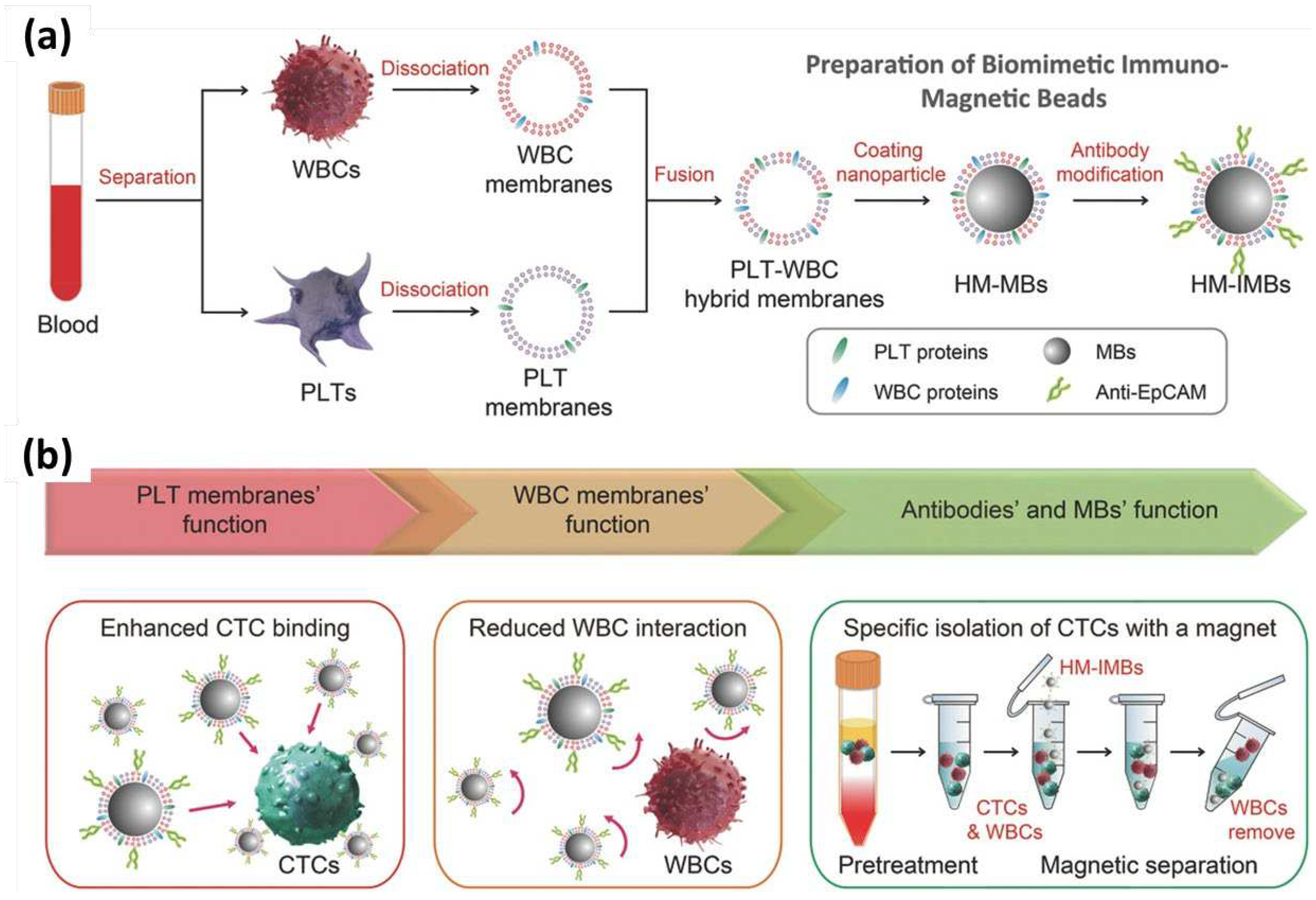 Preprints 97975 g004