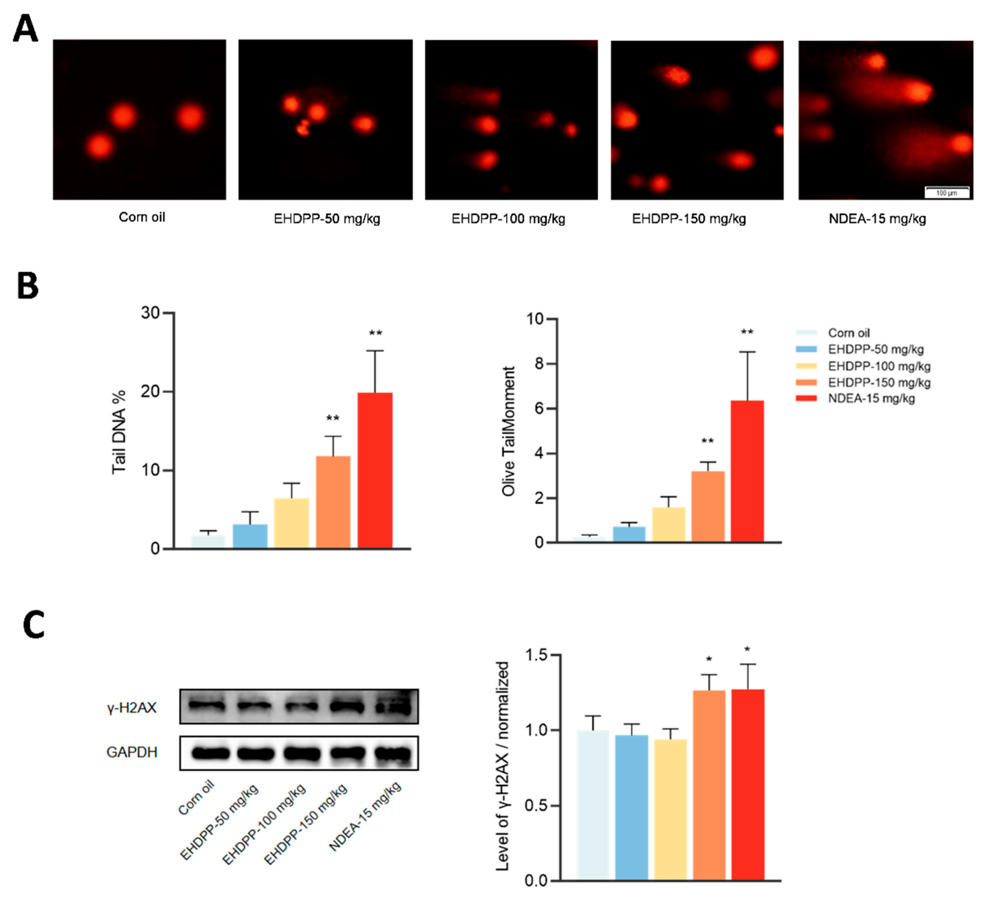 Preprints 221080 g002 Preprints 221080 g002