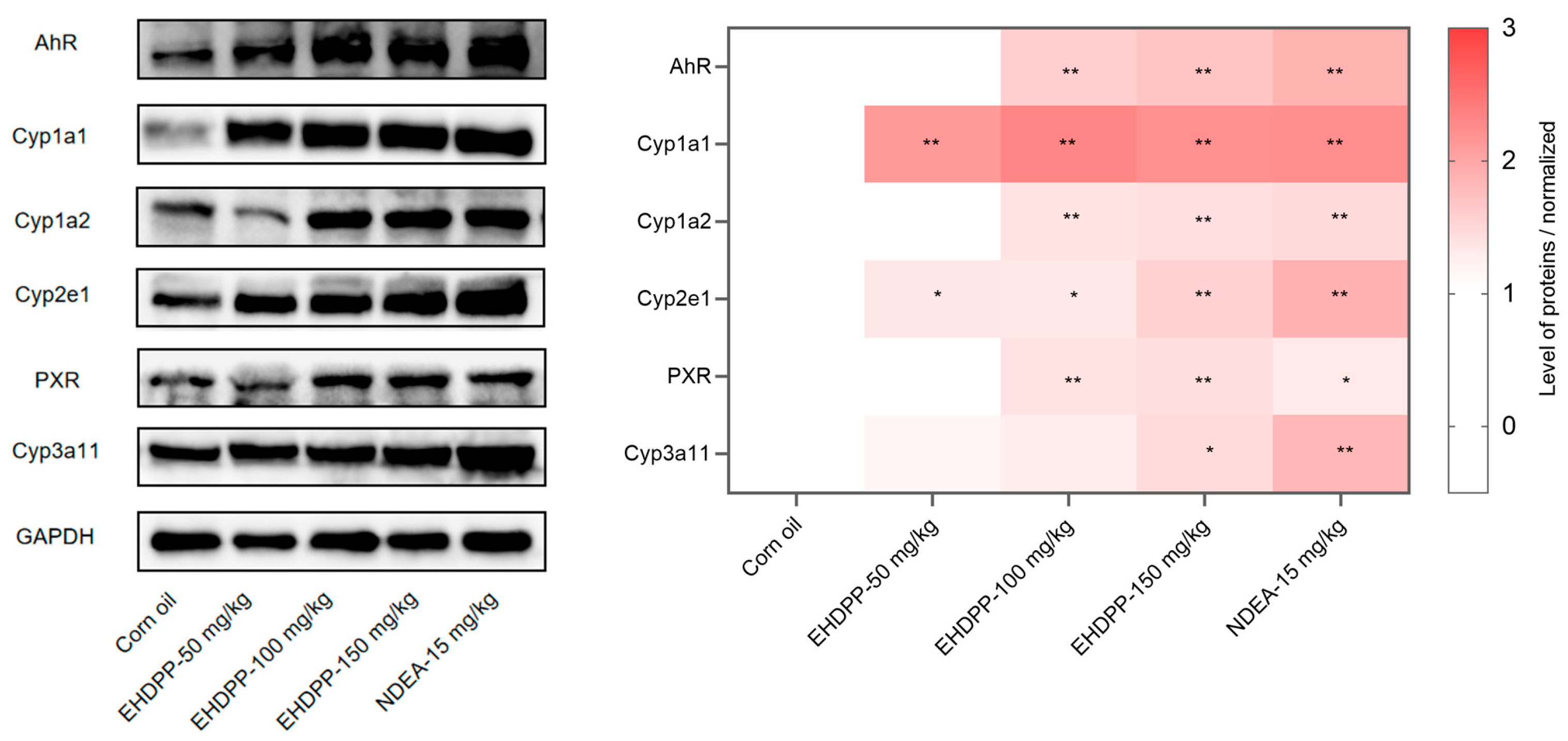 Preprints 221080 g004 Preprints 221080 g004