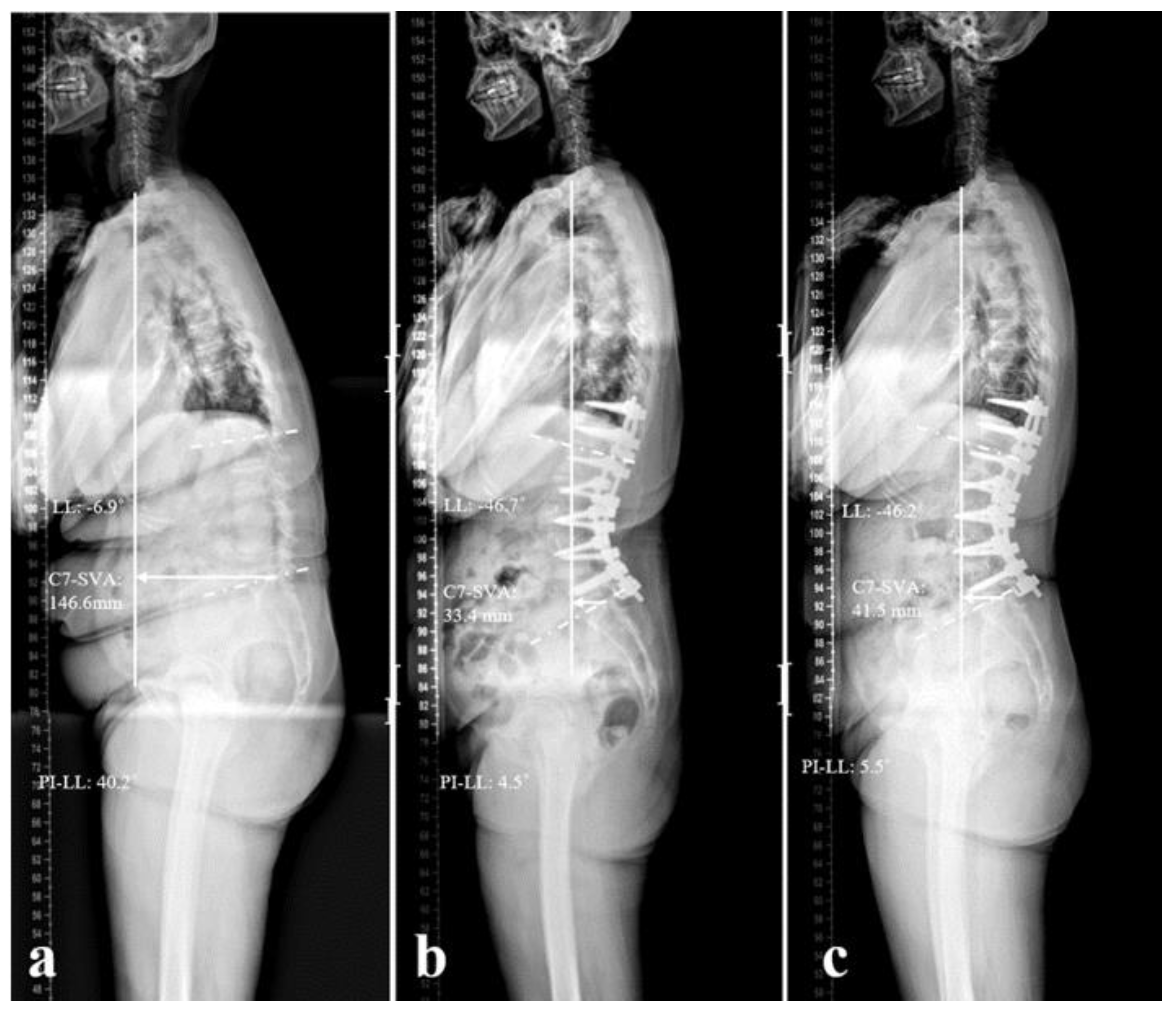 Preprints 174266 g002