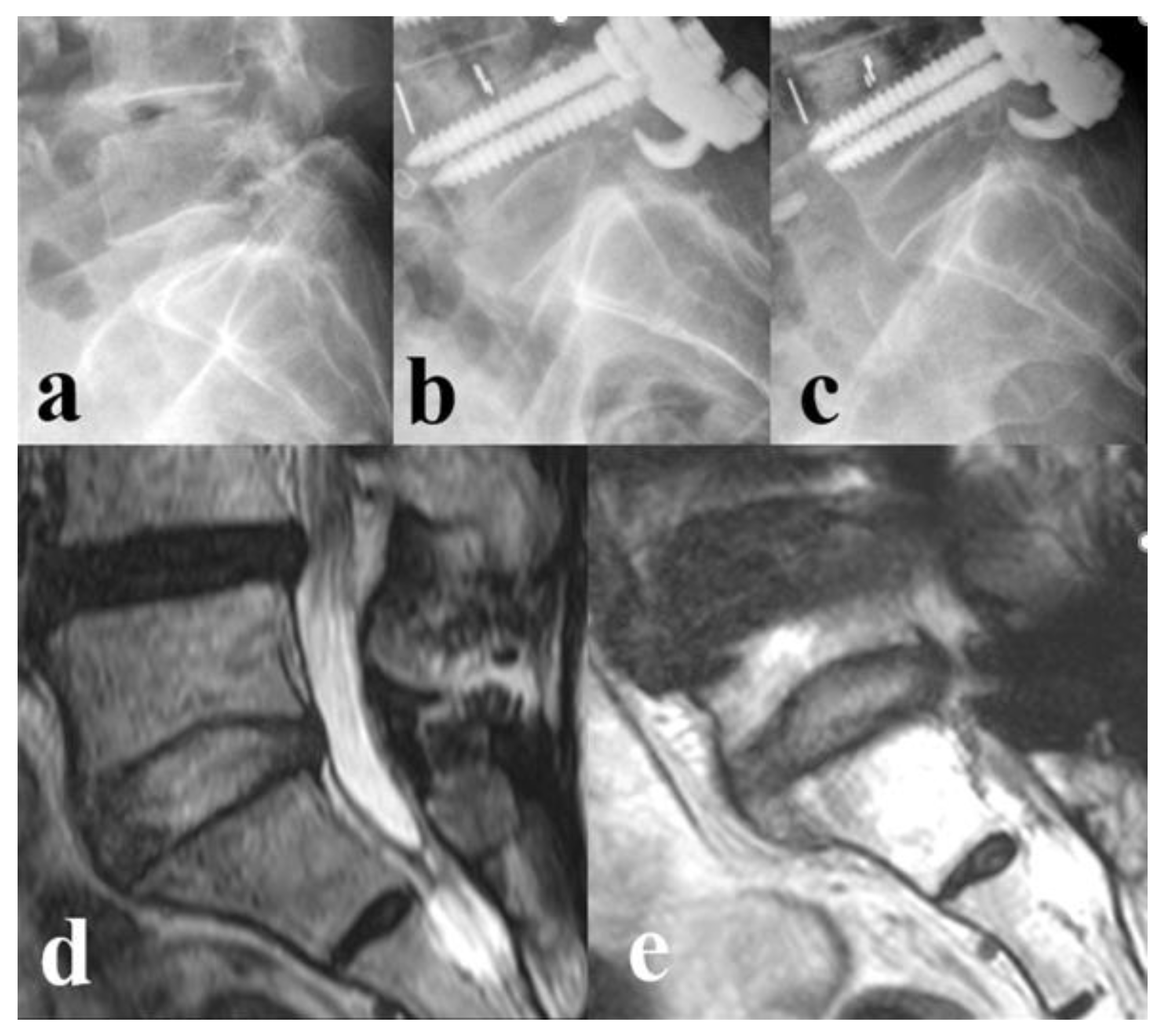 Preprints 174266 g003