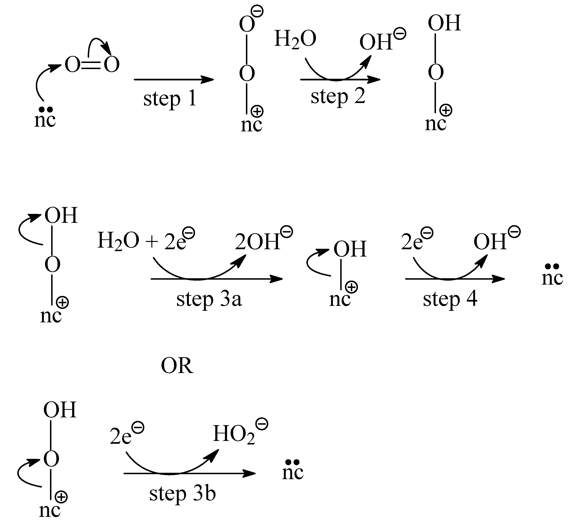 Preprints 190912 g005
