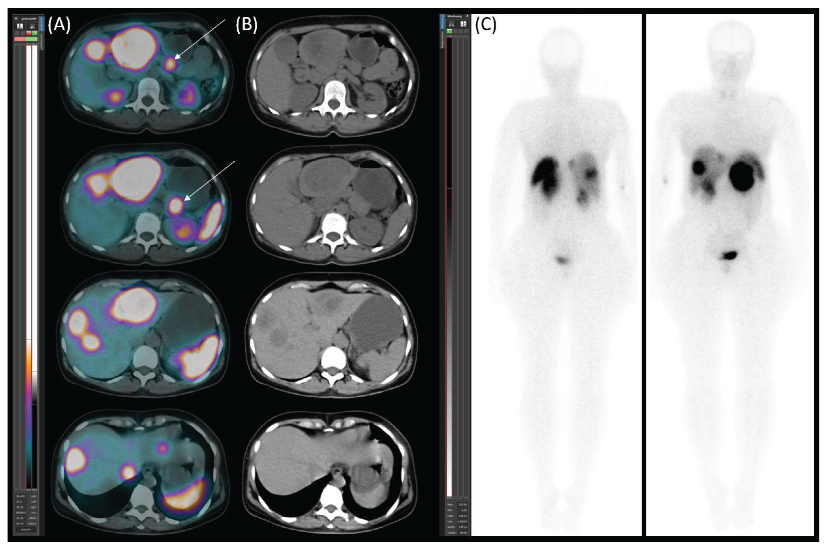 Preprints 160971 g001
