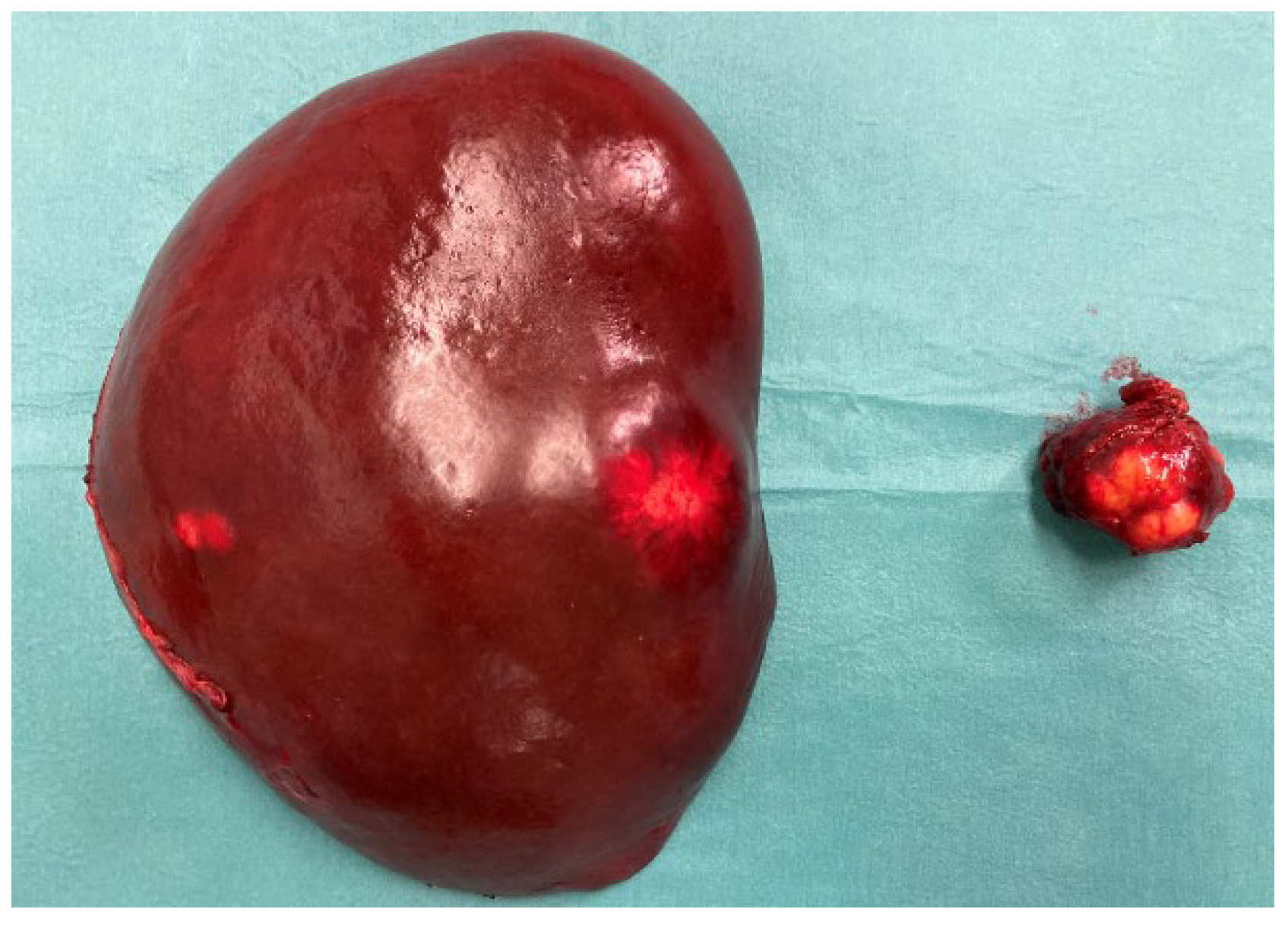 Preprints 160971 g005