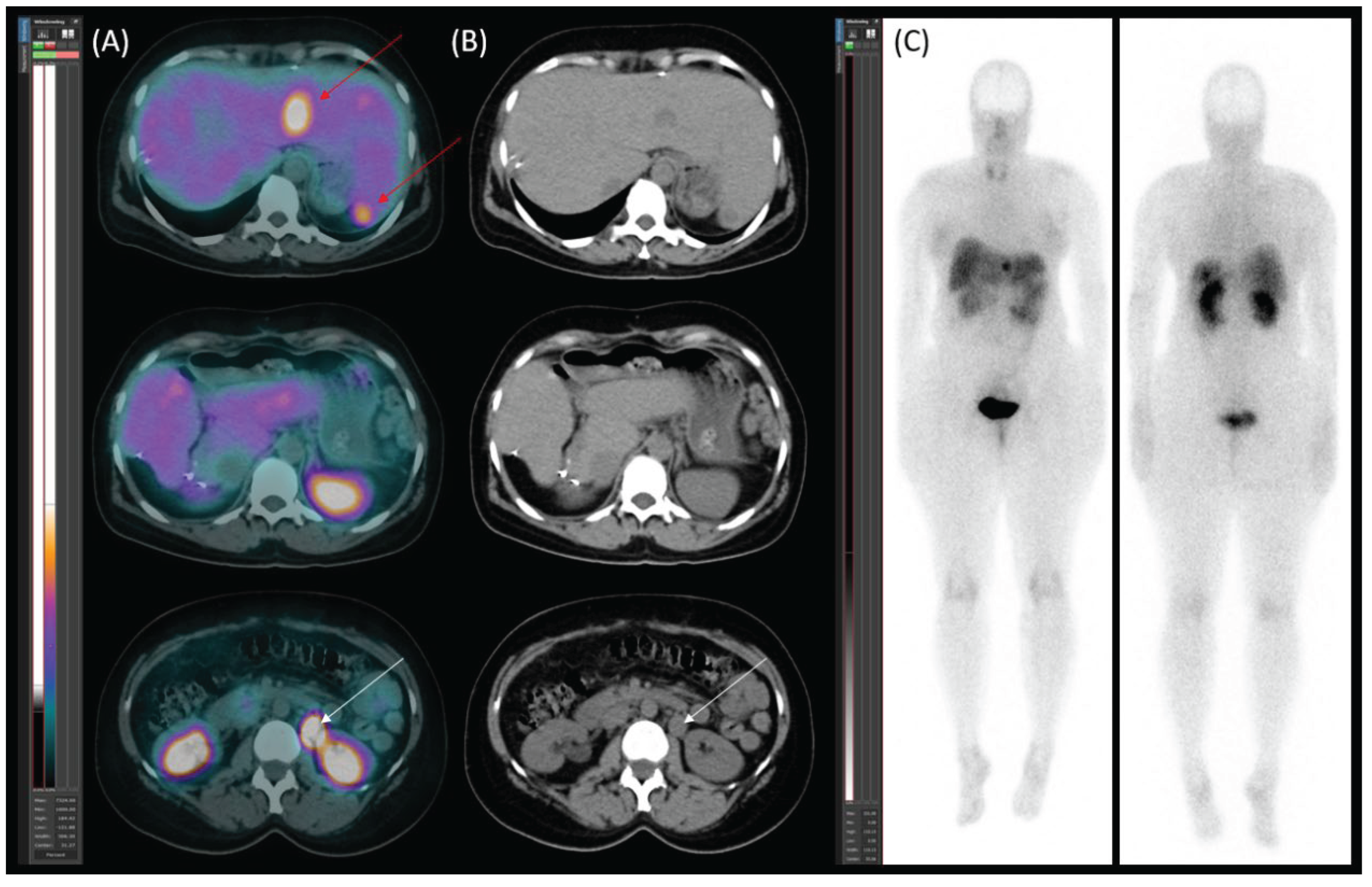 Preprints 160971 g007