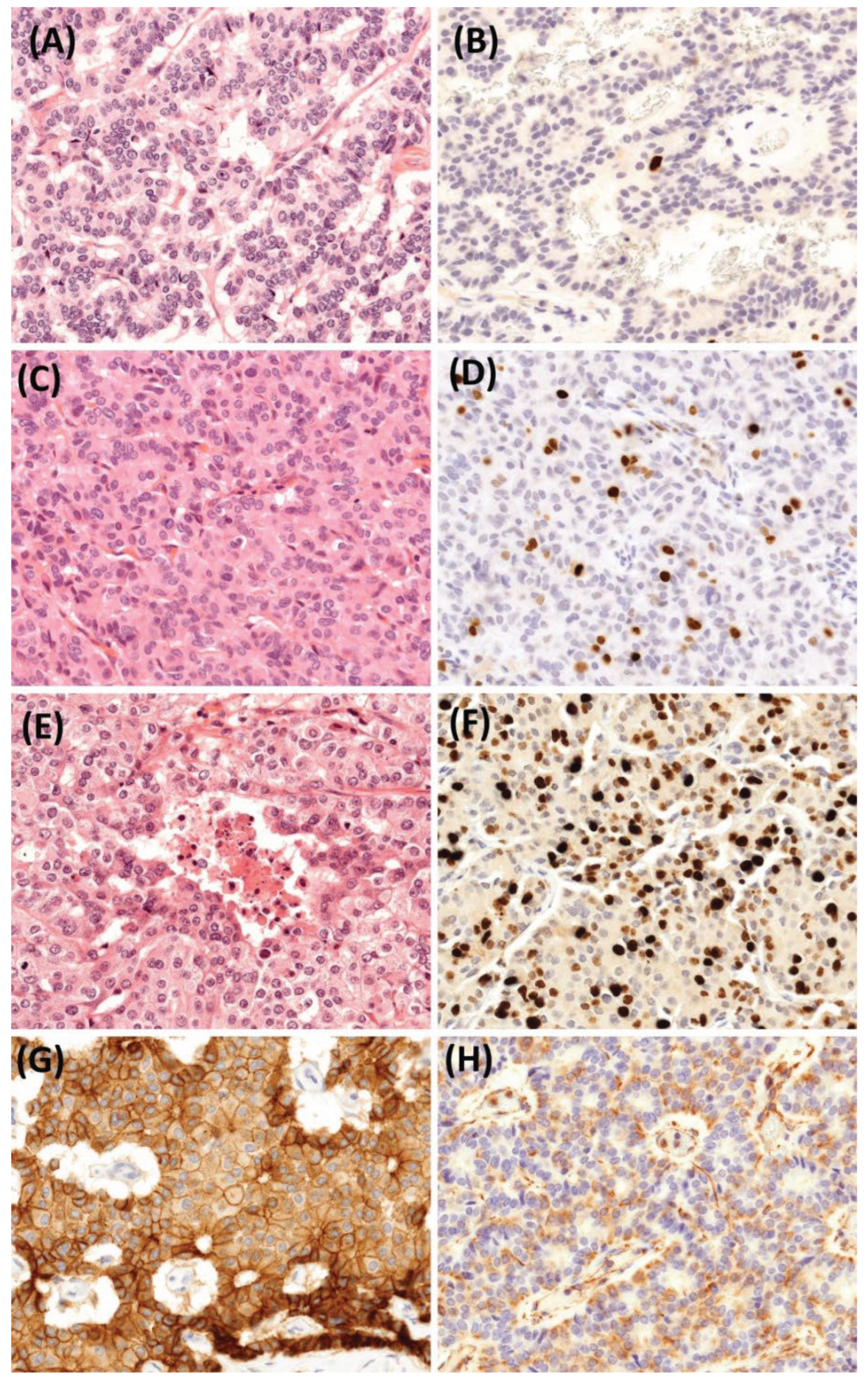 Preprints 160971 g010