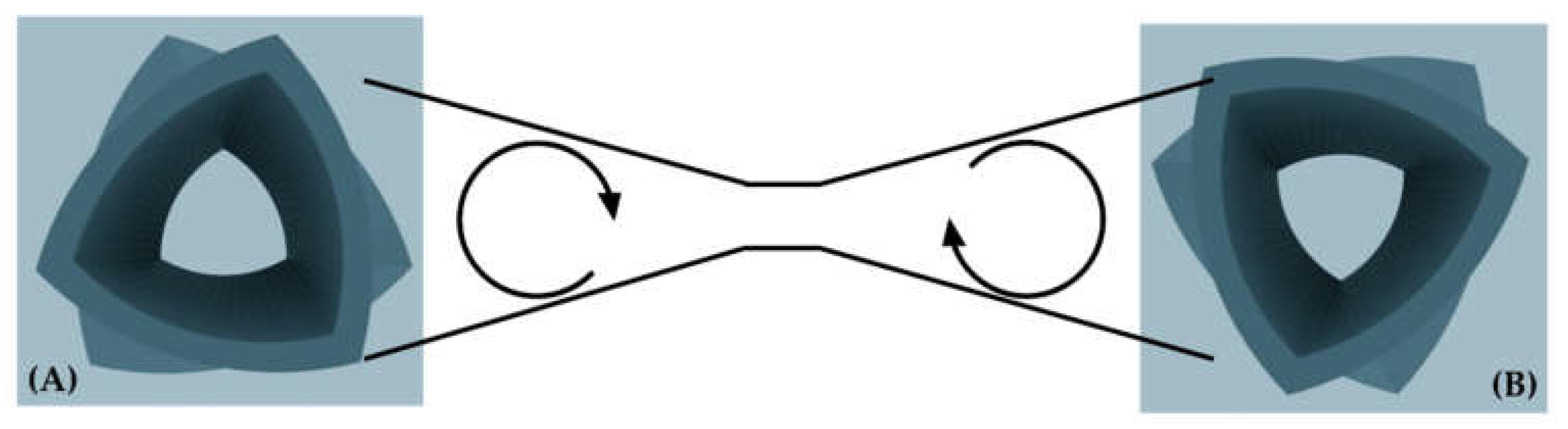 Preprints 167315 g005