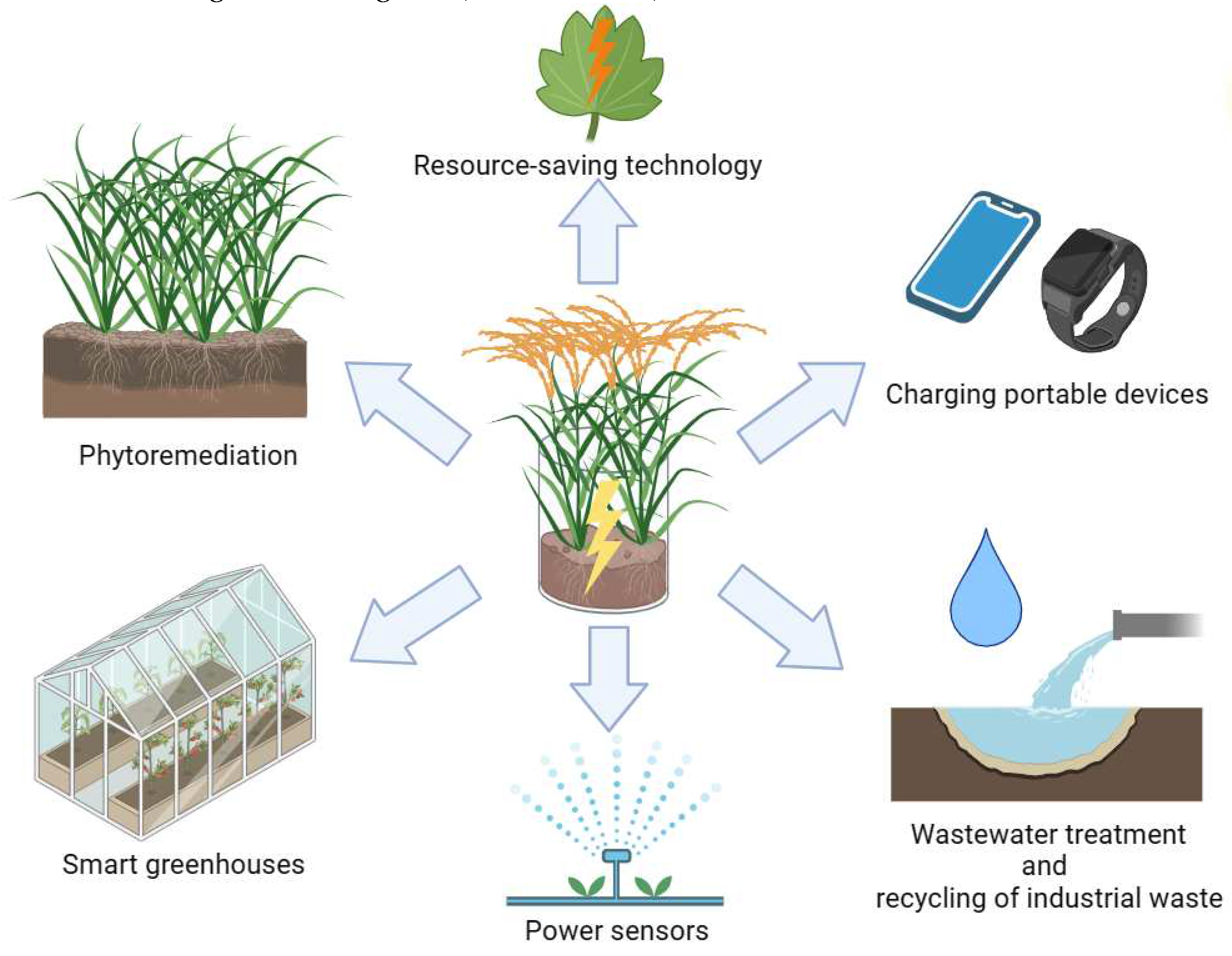 Preprints 96069 g002