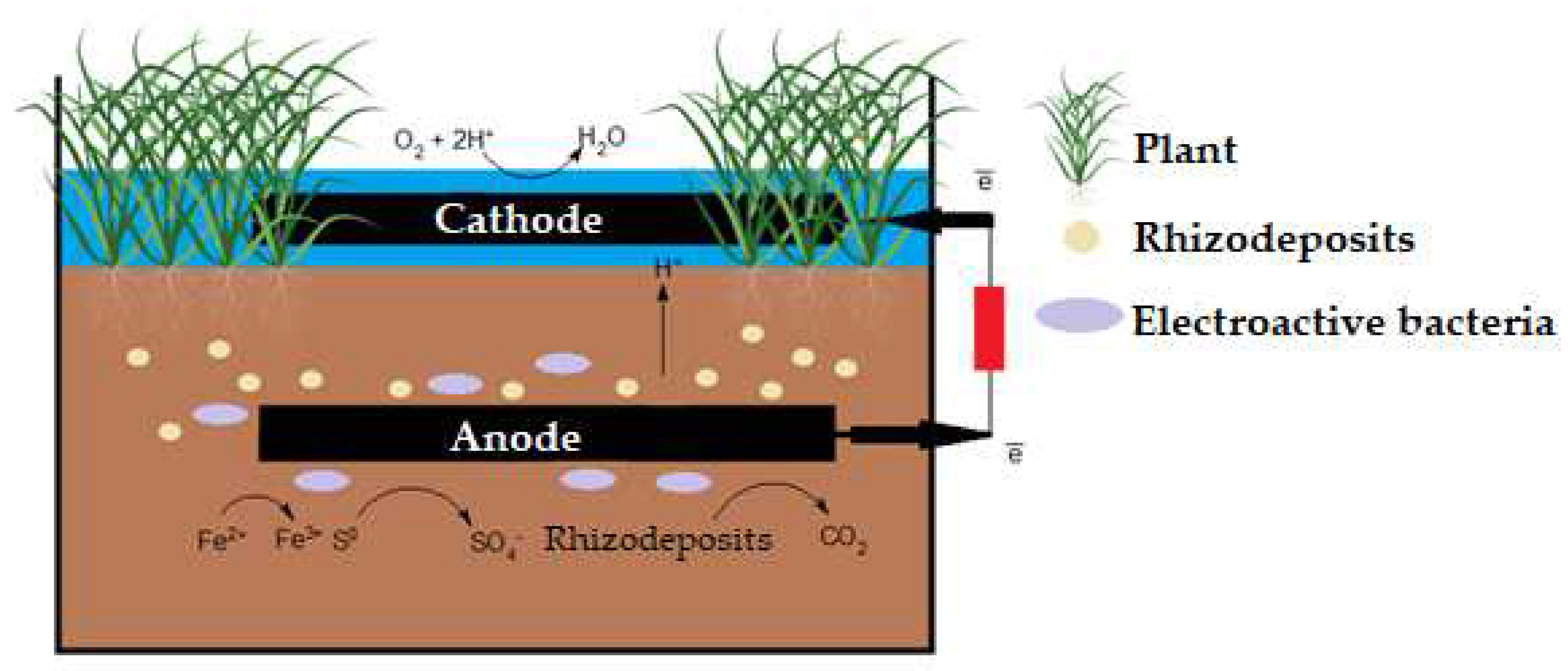Preprints 96069 g003