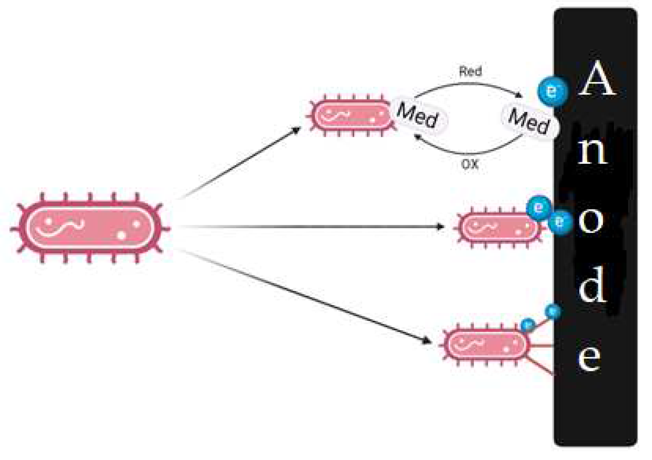 Preprints 96069 g004