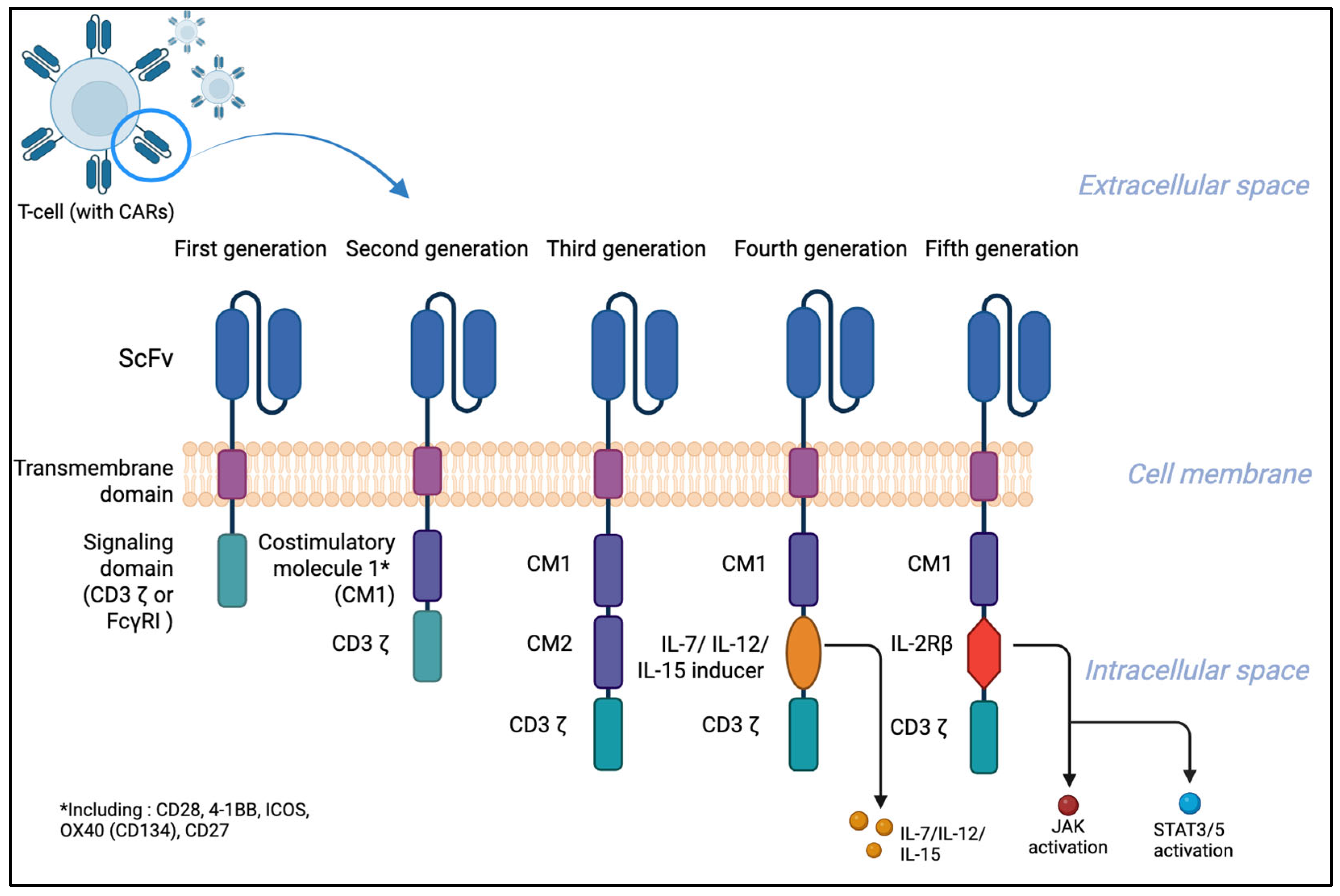 Preprints 207690 g001