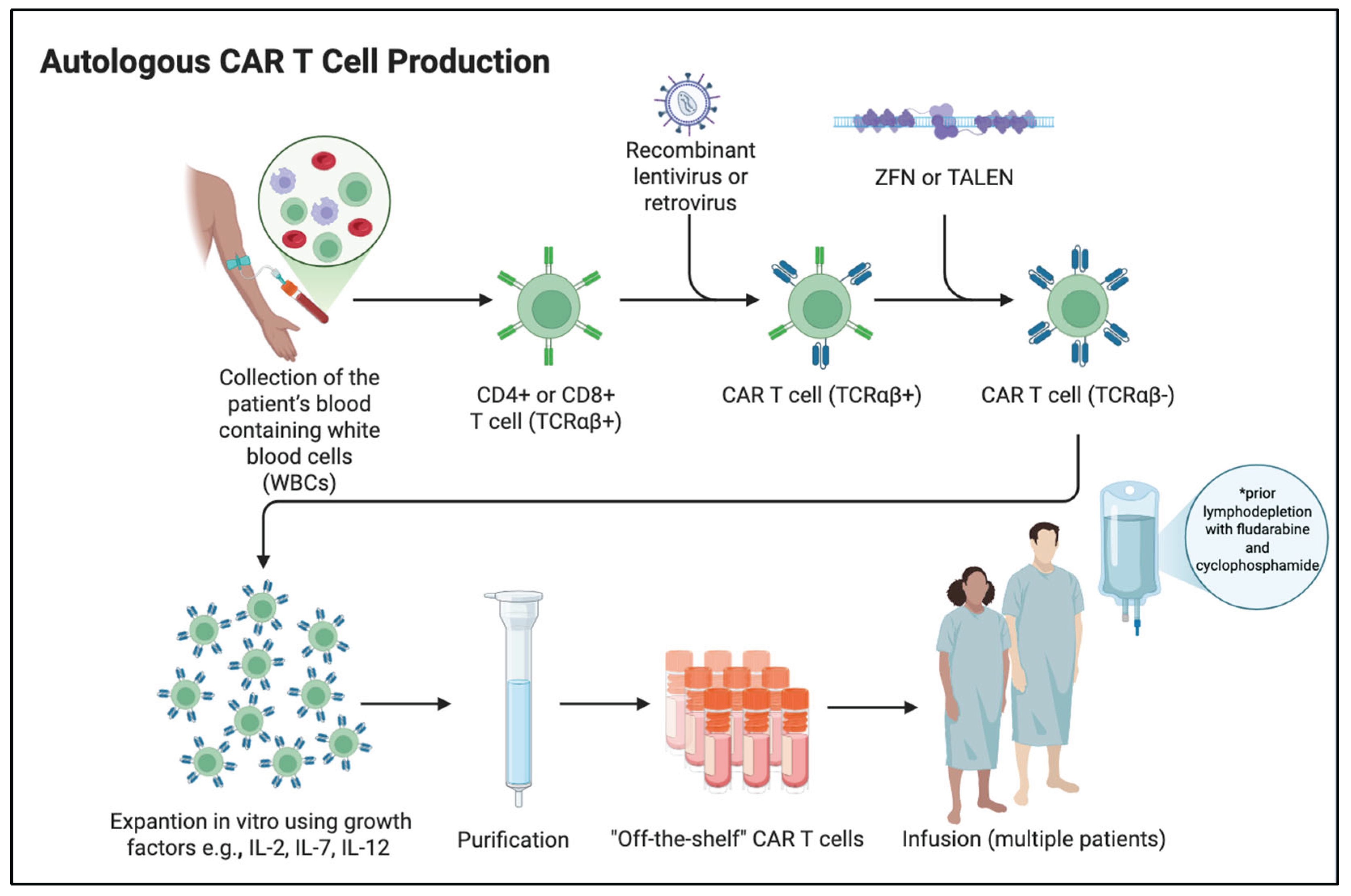 Preprints 207690 g002