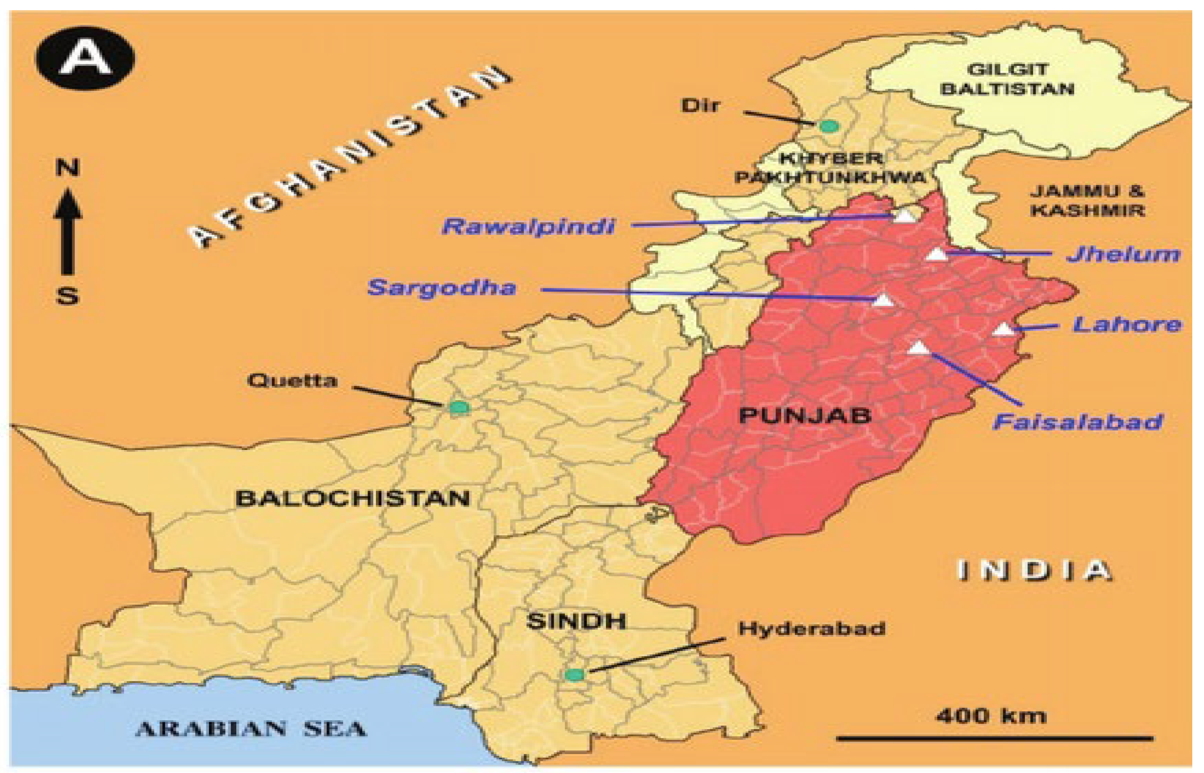 Preprints 98386 g002